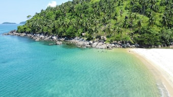A tropical beach scene with turquoise waters merging into a sandy shore, bordered by lush green palm trees and foliage. Rocky formations are visible at the edge of the water, and several people are swimming close to the shore.
