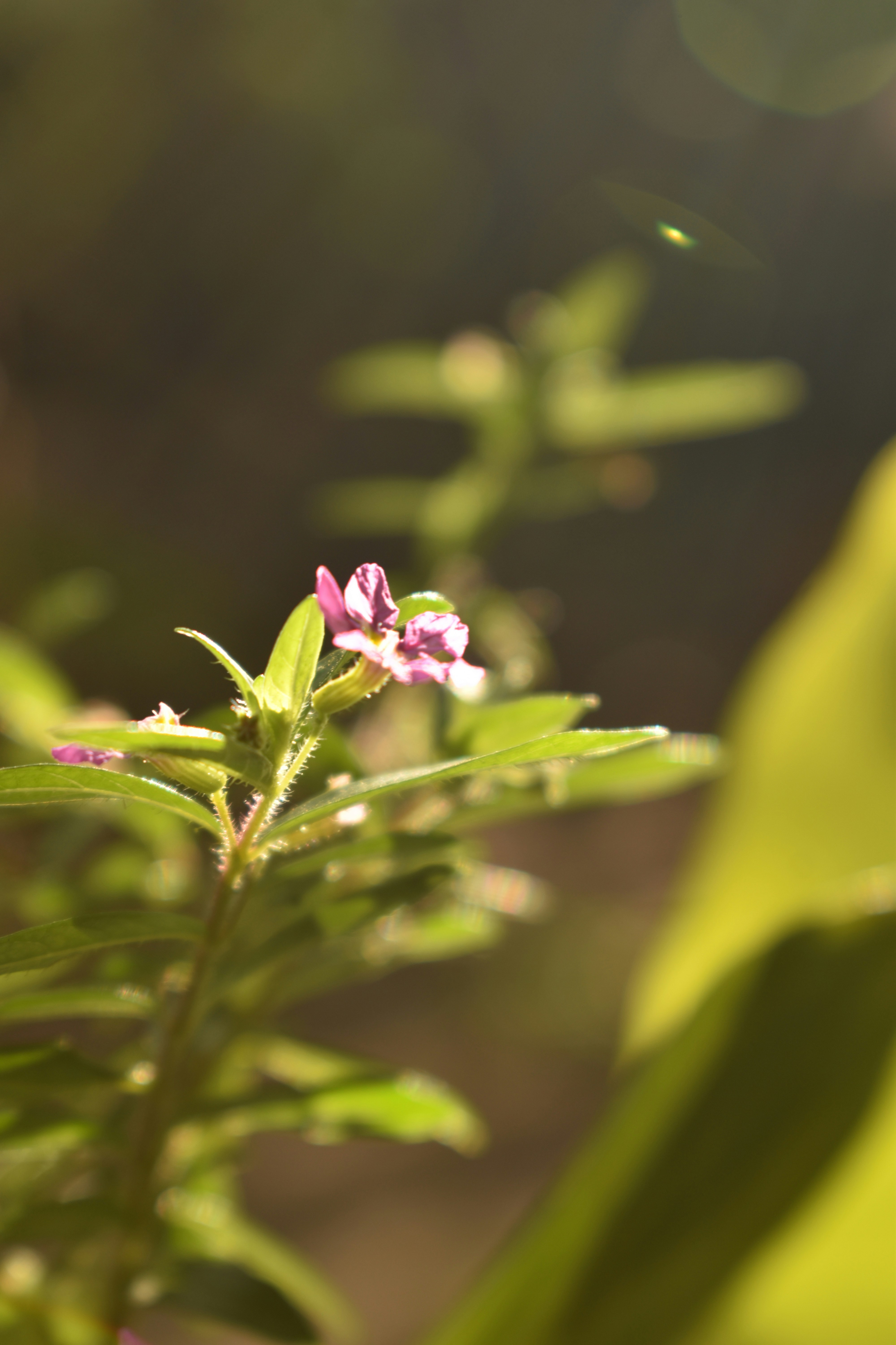 Photo by johannescls