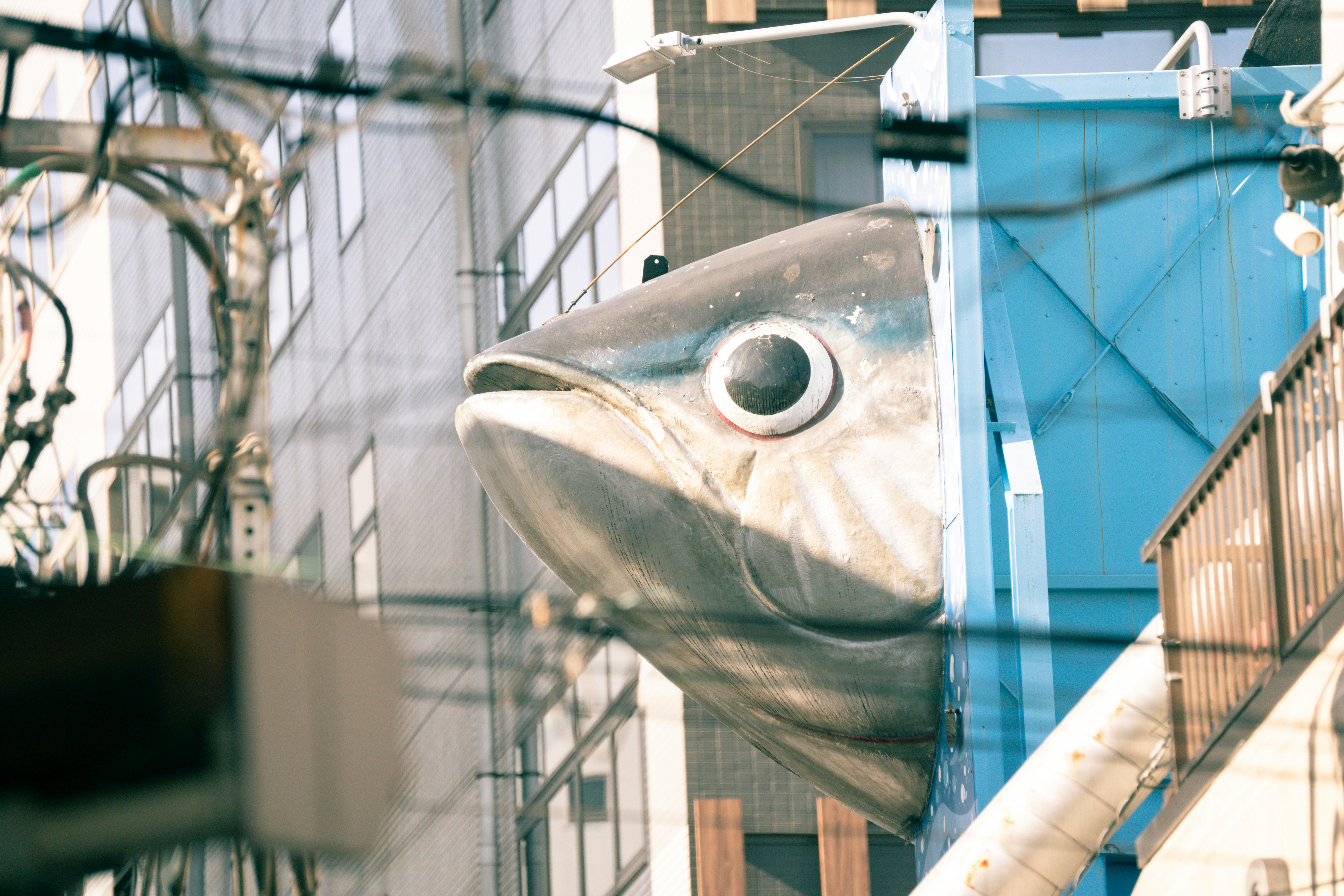 a large fish statue hanging from the side of a building, 