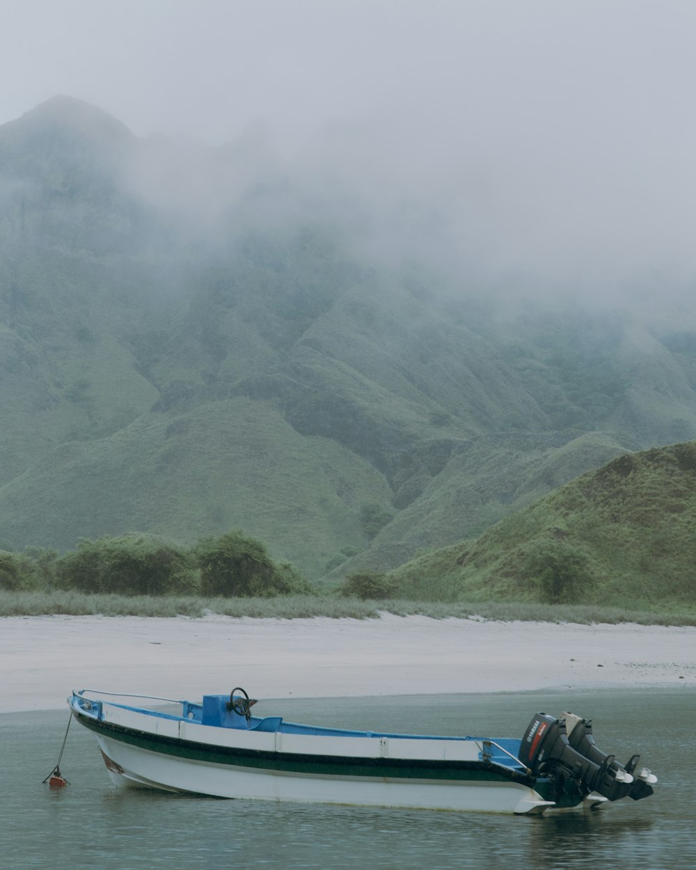 a blue and white boat sitting on top of a body of water