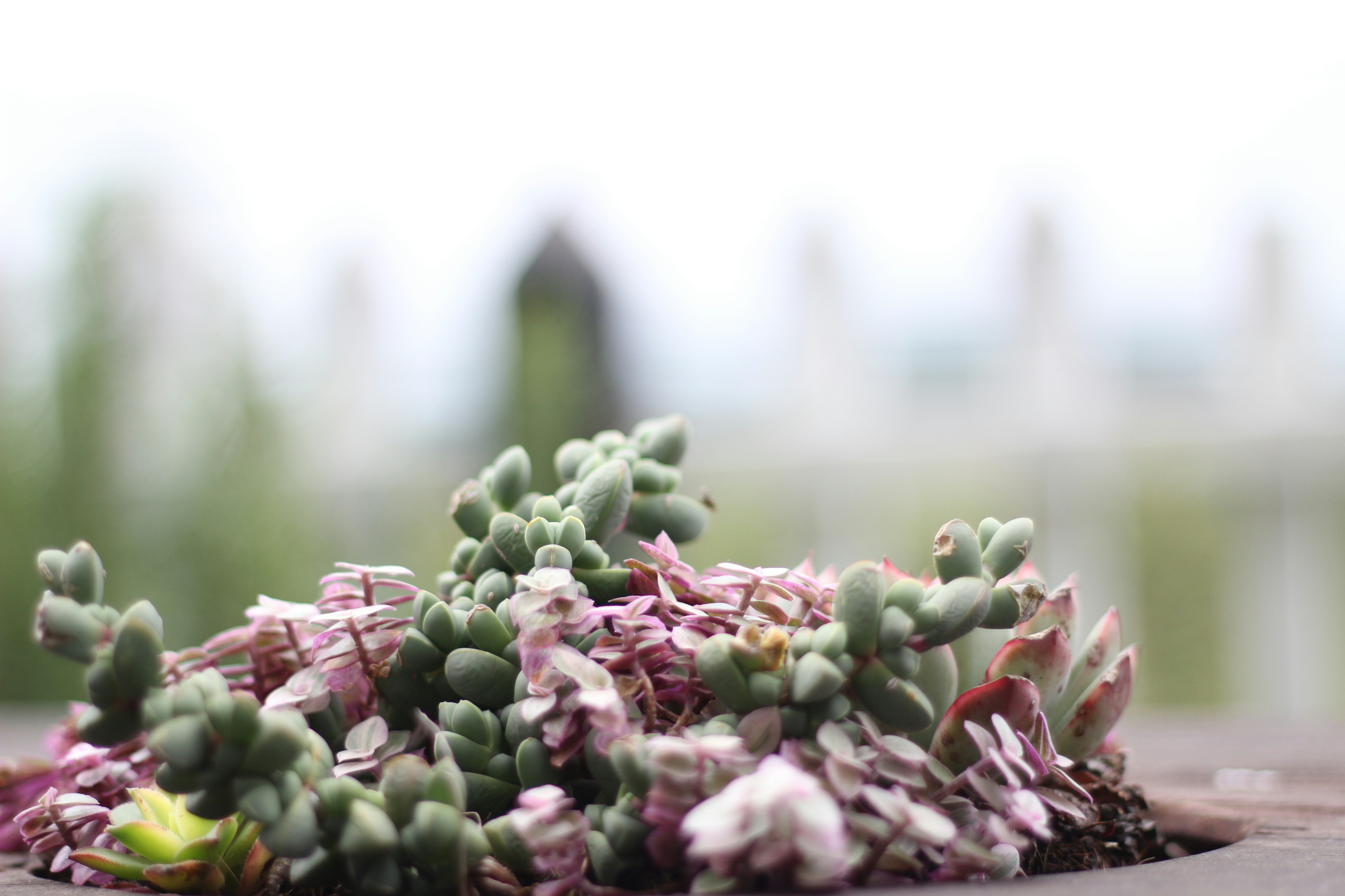 Photo by phungntmdser