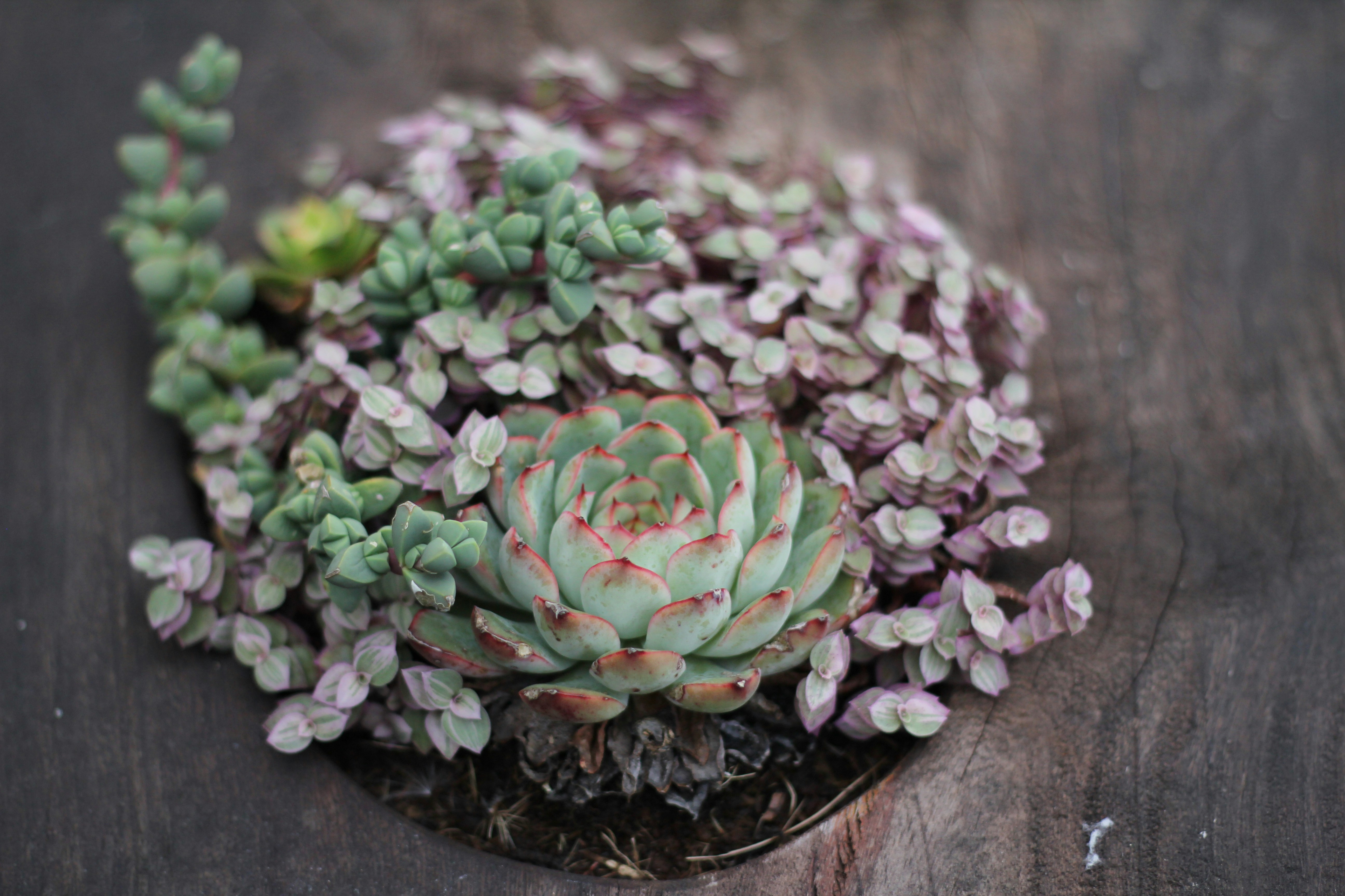 Photo by phungntmdser