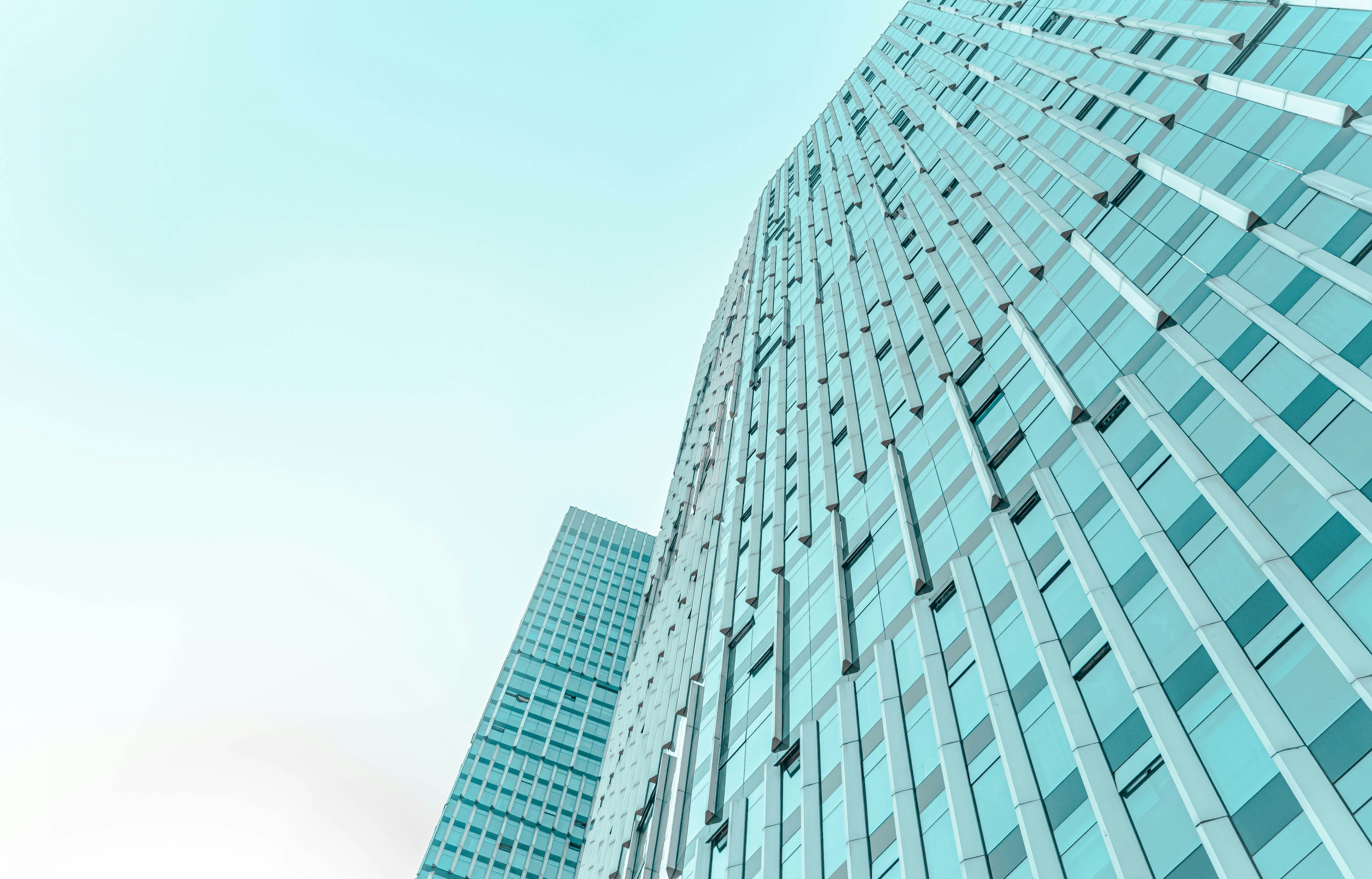 Photo by mocking_bird