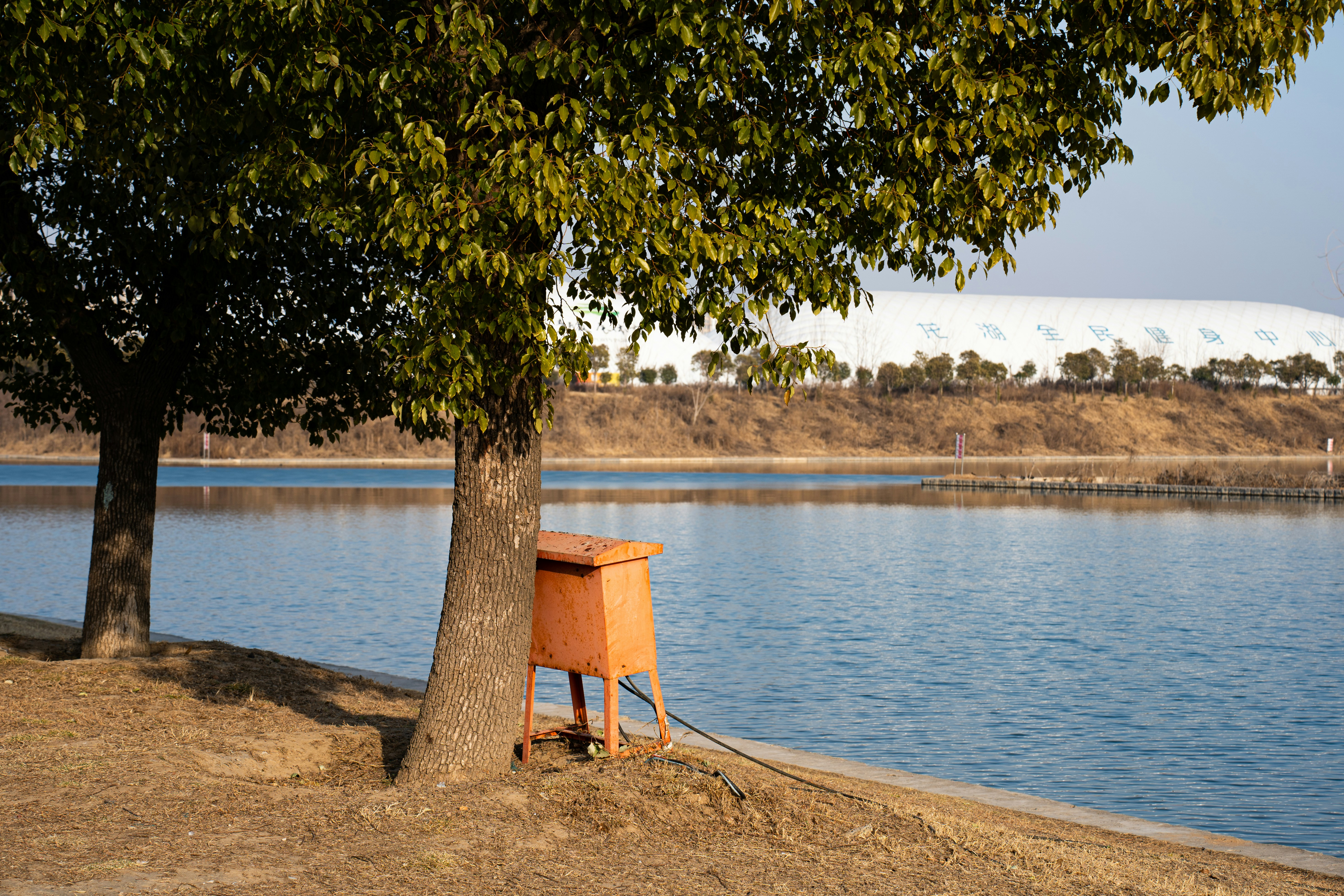 Photo by y1316476967