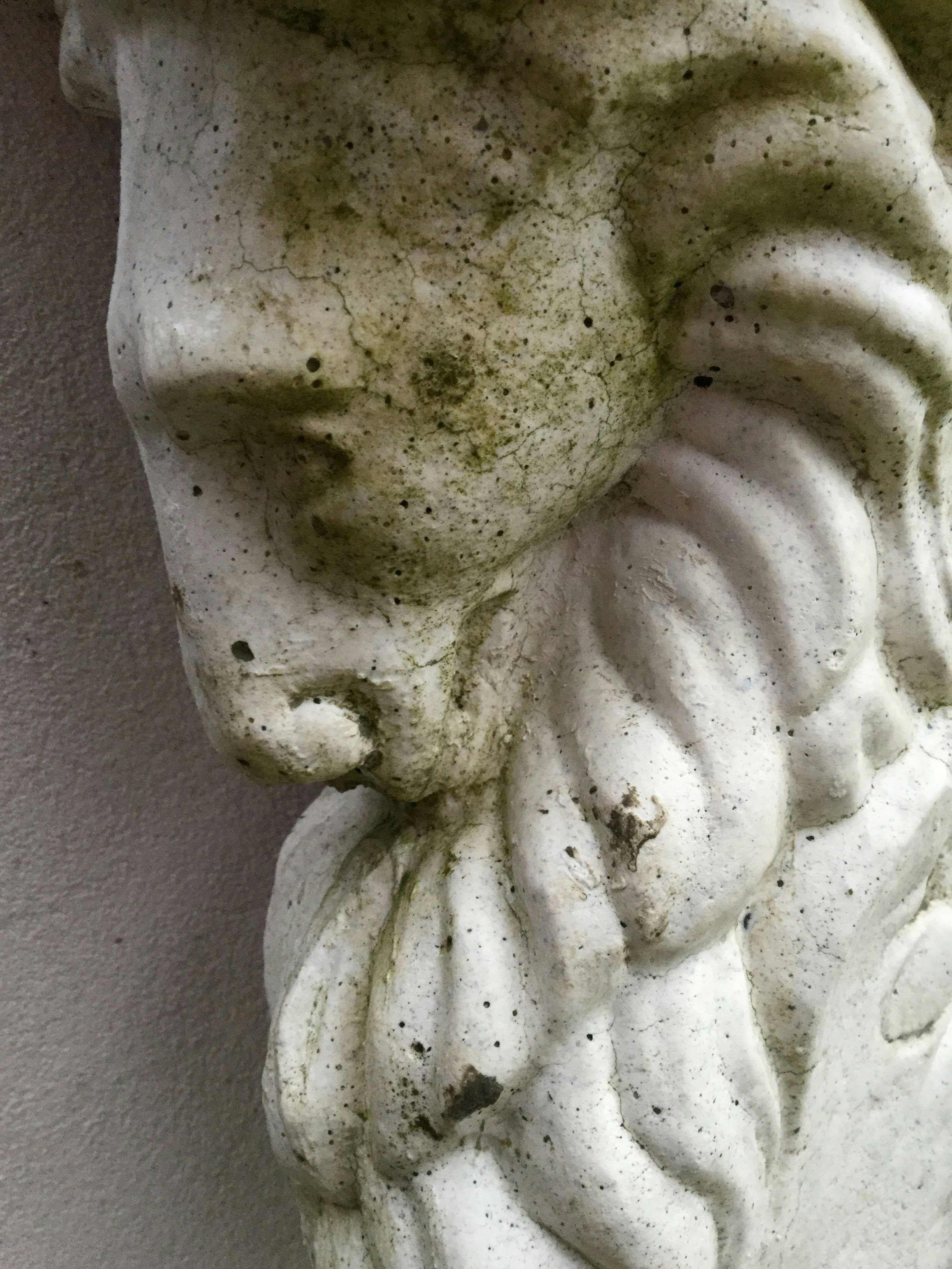 Photo by seaofthesaints