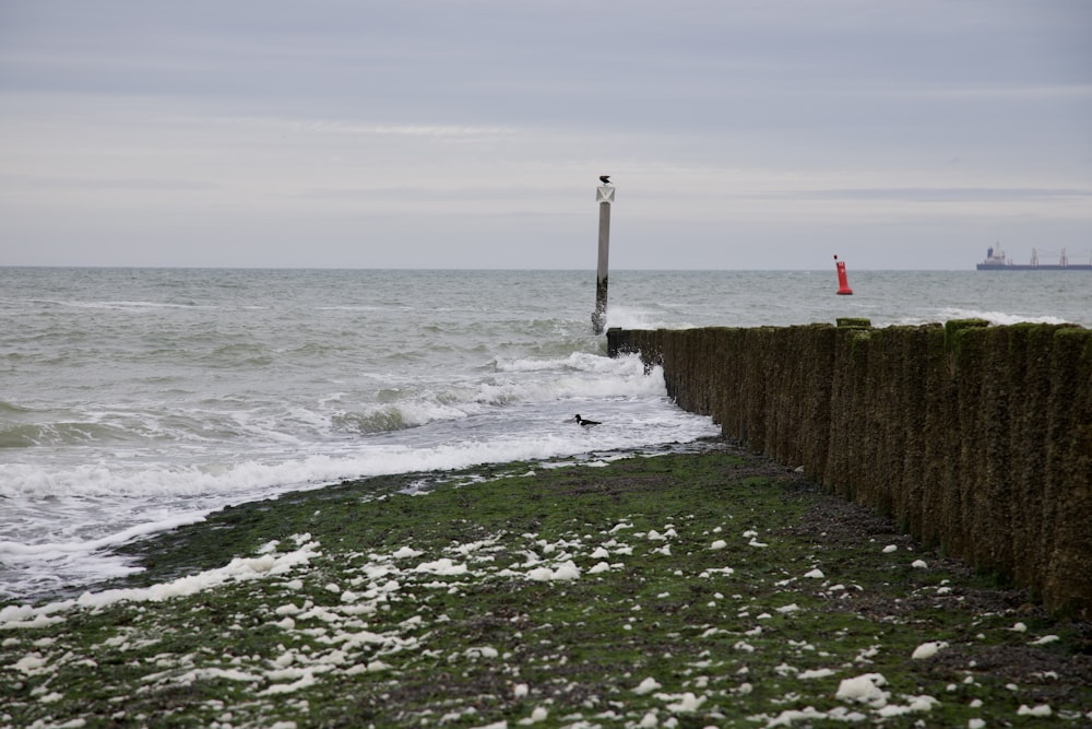 a man walking along a beach next to the ocean