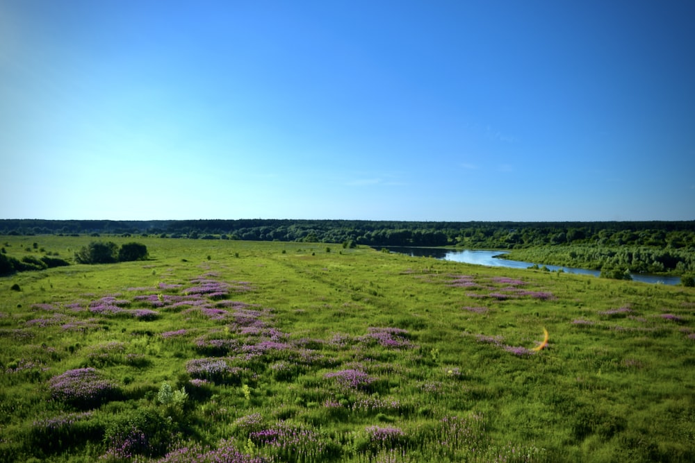 a grassy field with a river in the distance