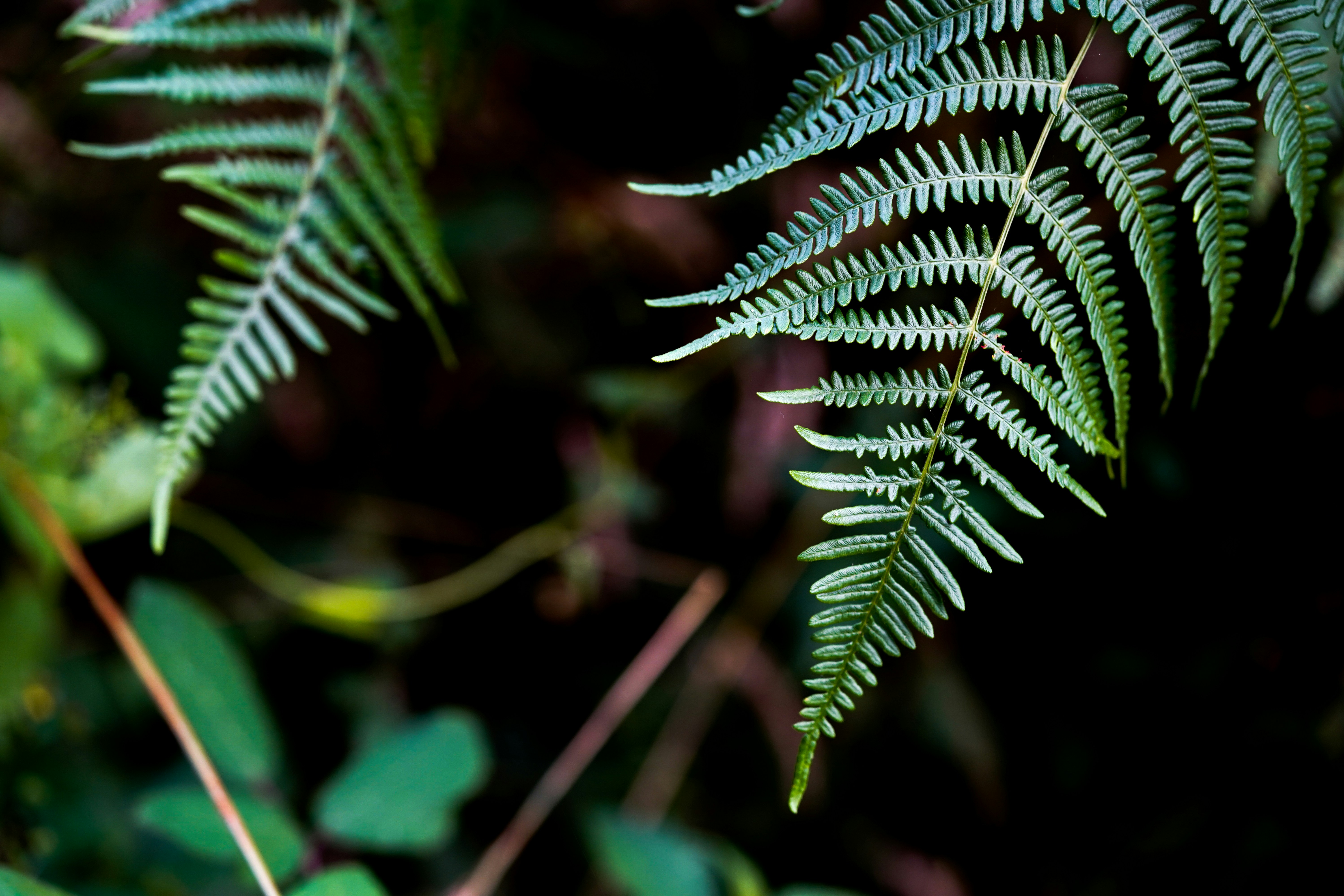 black and white bed linen