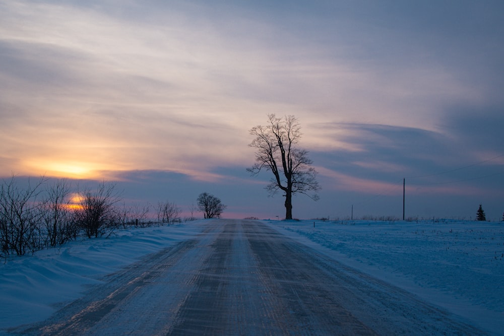 a snow covered road with a lone tree in the distance