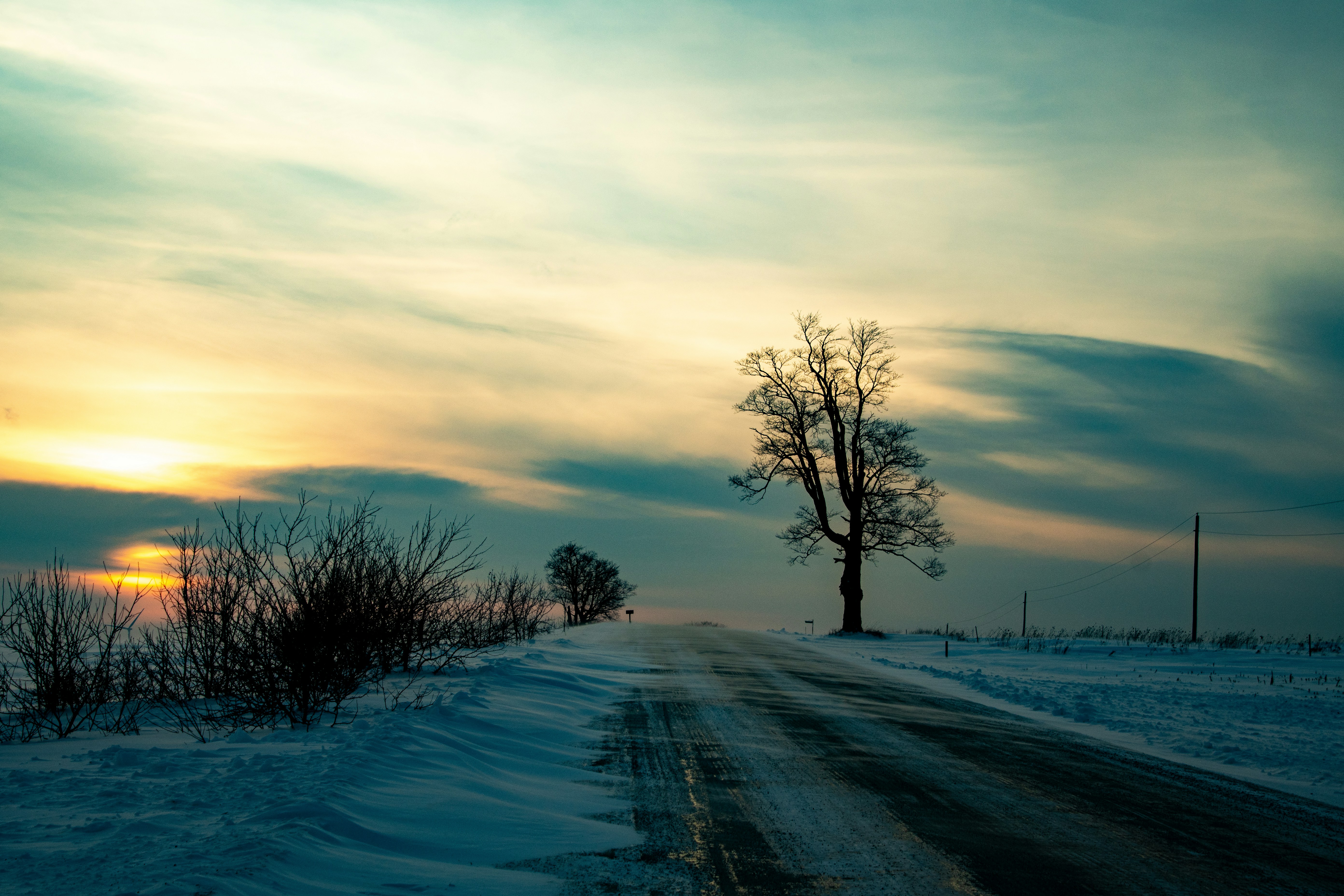 Photo by andrewgazula