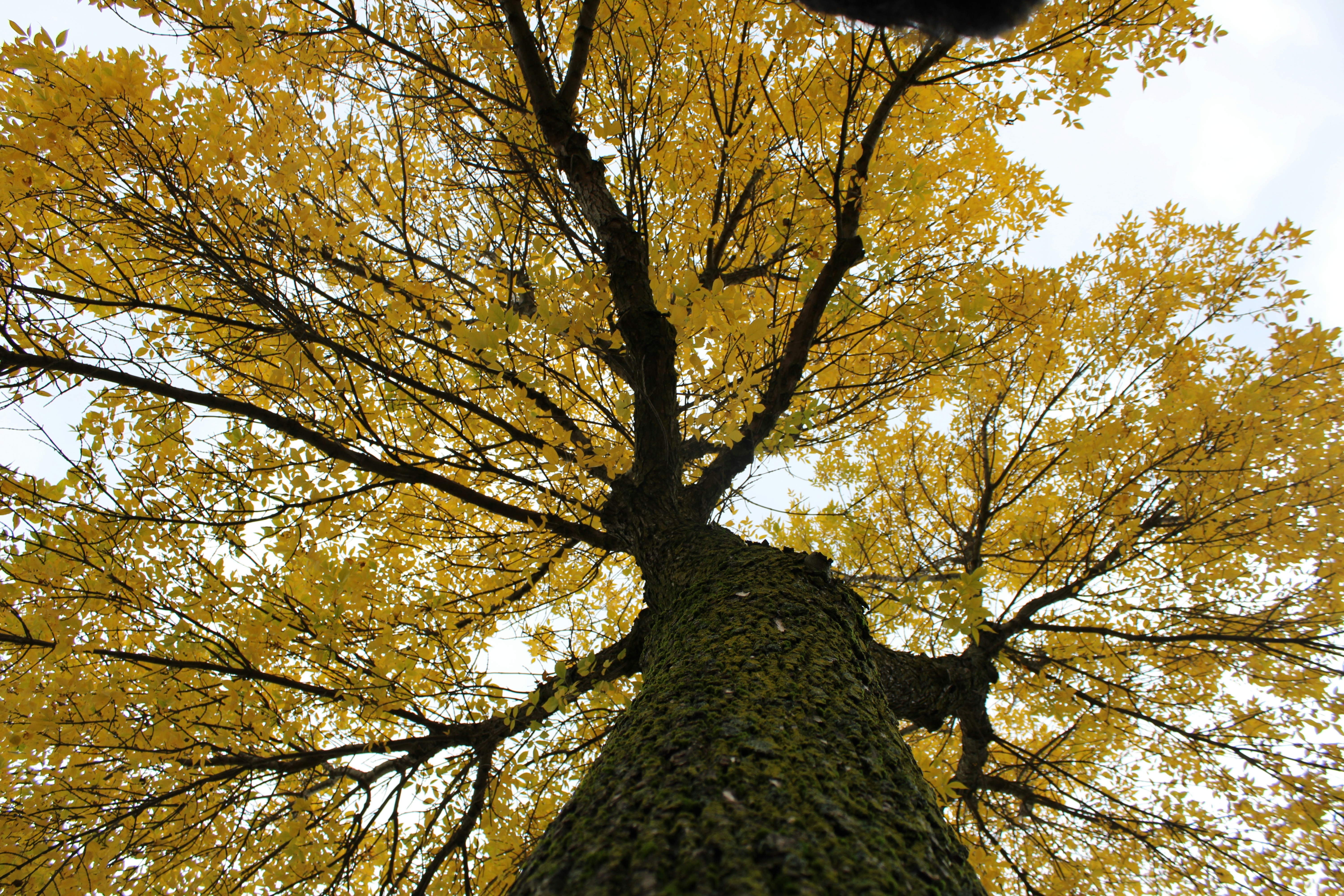 Photo by zakcanonrebelt7