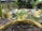 A garden scene featuring numerous small plants growing in soil-filled yellow bags. The bags are arranged in rows on the ground, surrounded by greenery and various tropical plants, including palm trees. The background includes a wooden and brick fence.