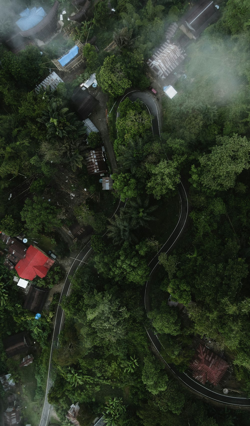 an aerial view of a road winding through a forest