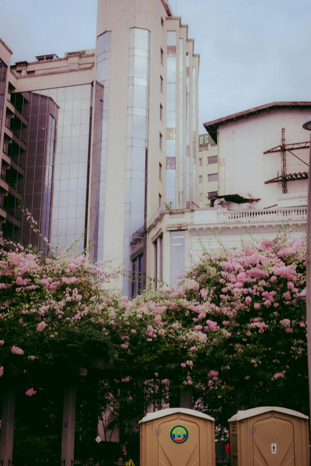 a tall building with a bunch of trees in front of it