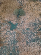 Aerial view of arid land being transformed with green patches