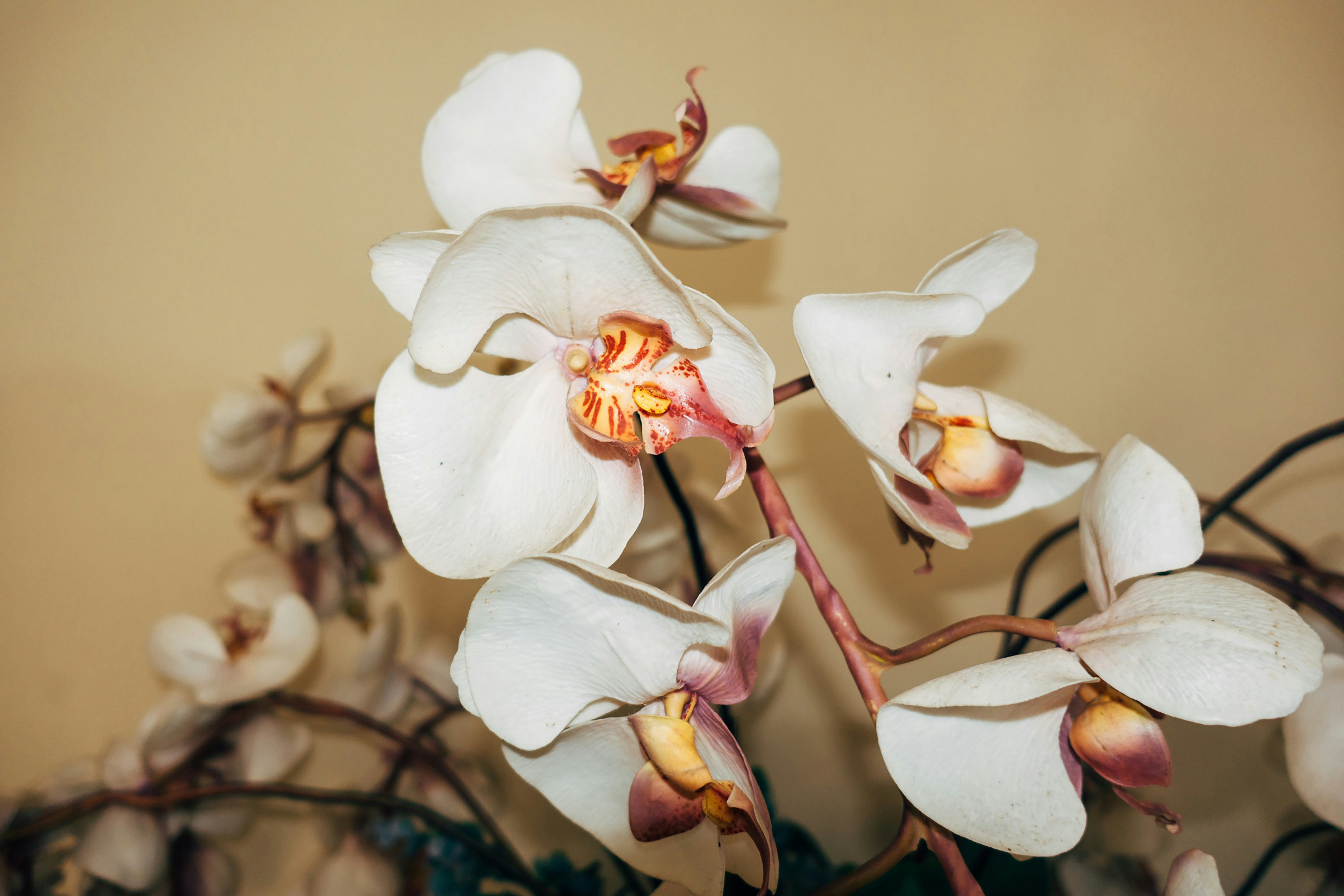 Photo by markuswinkler