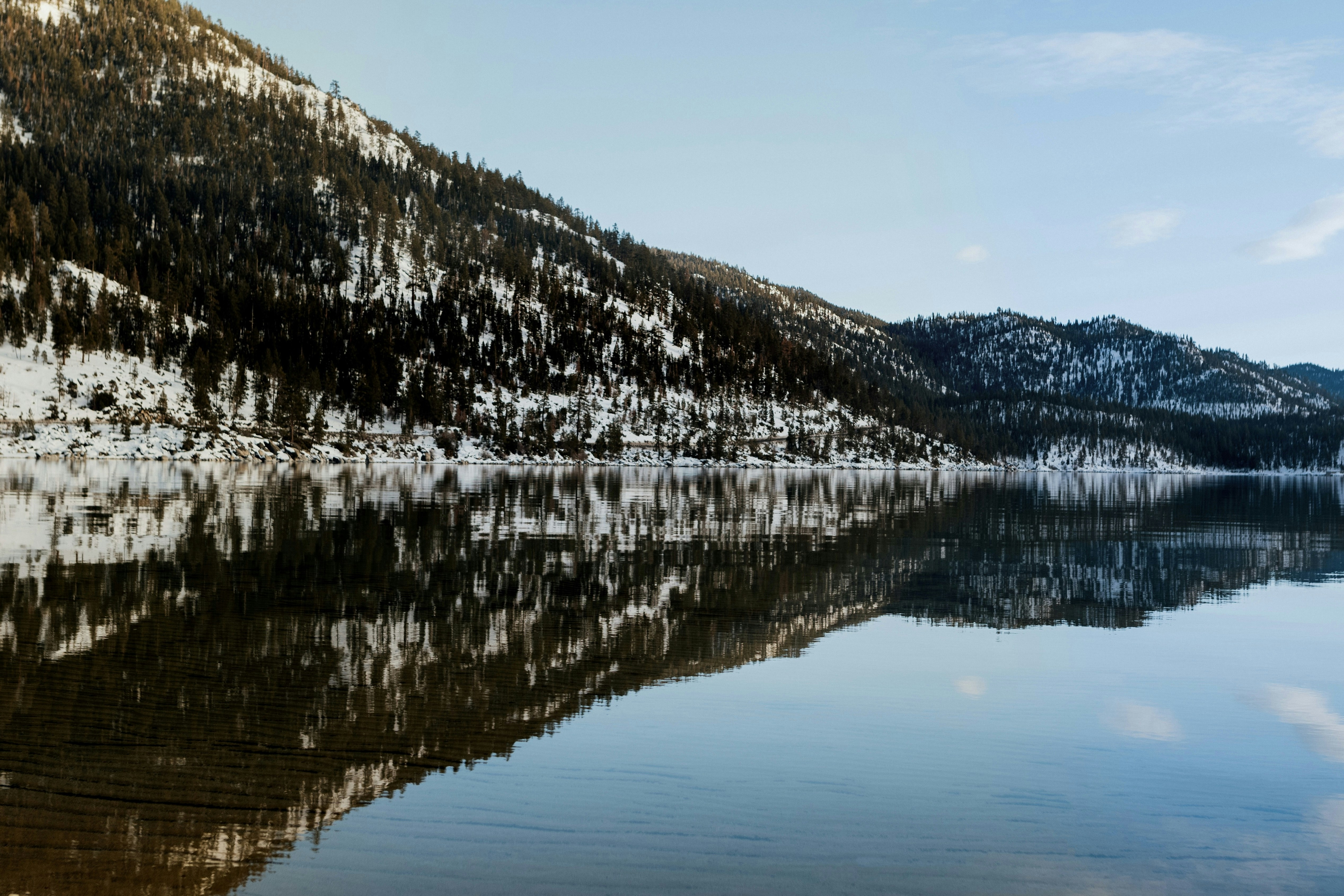 Photo by daniellestein