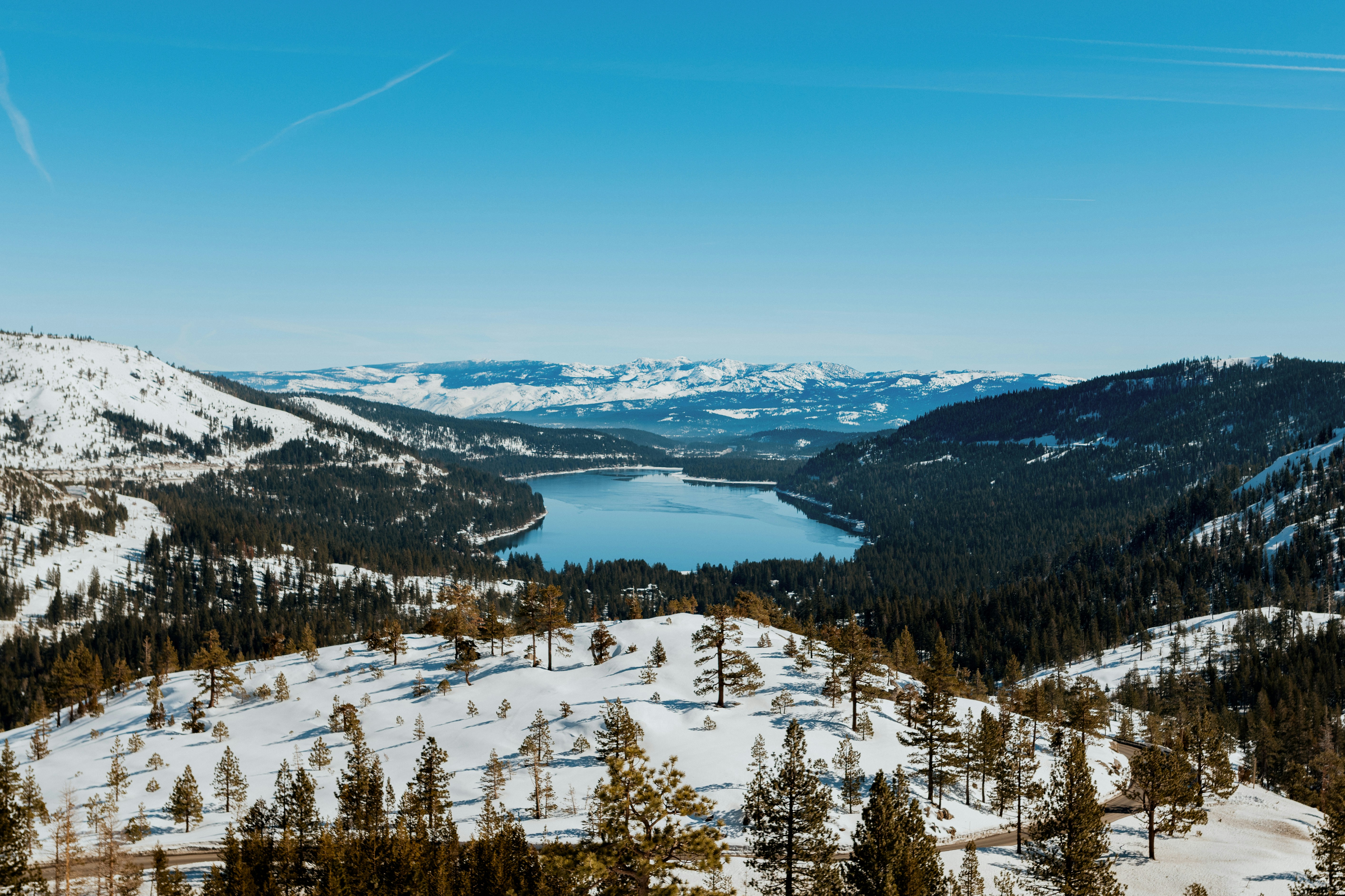 Photo by daniellestein