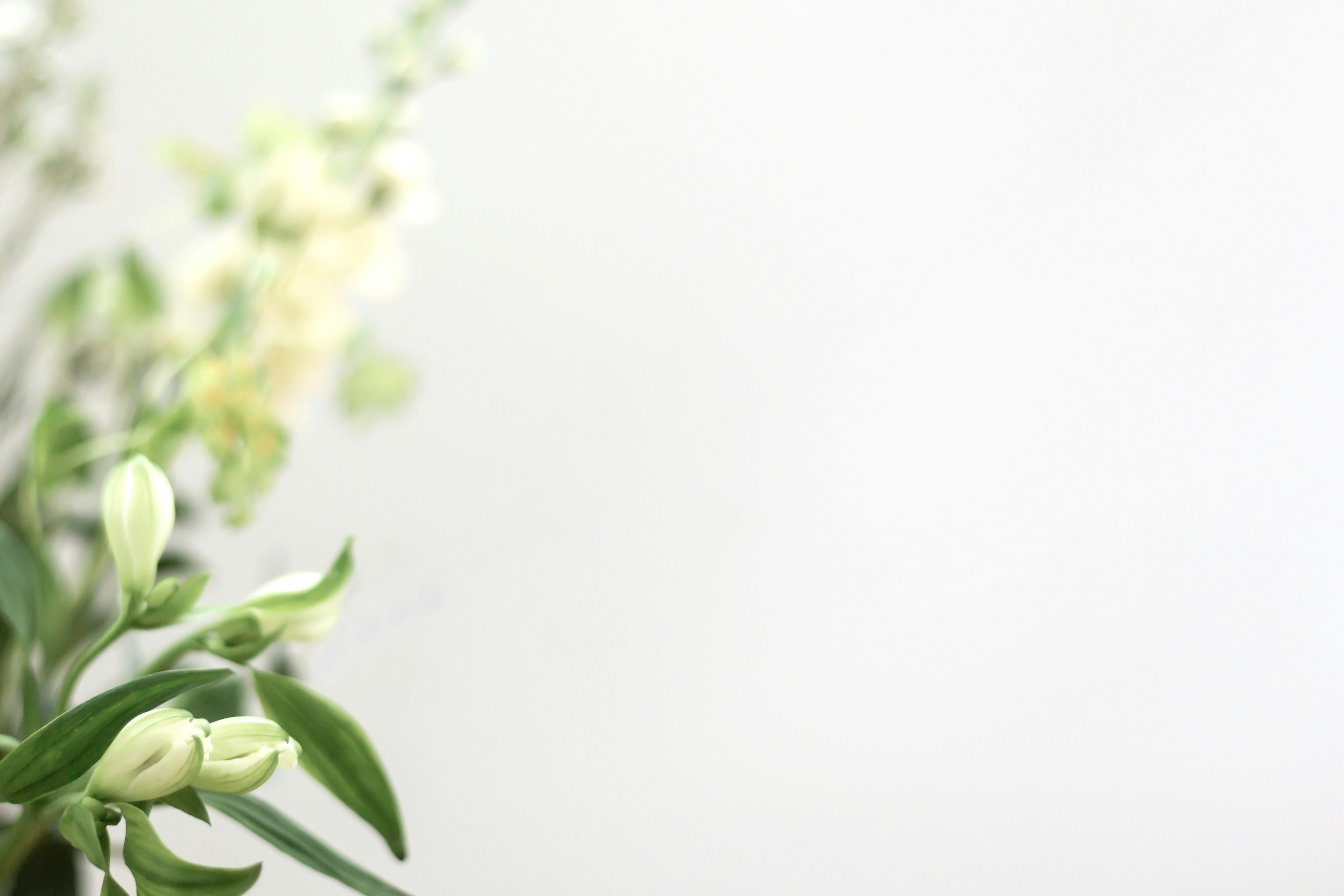 Photo by nataliekinnear