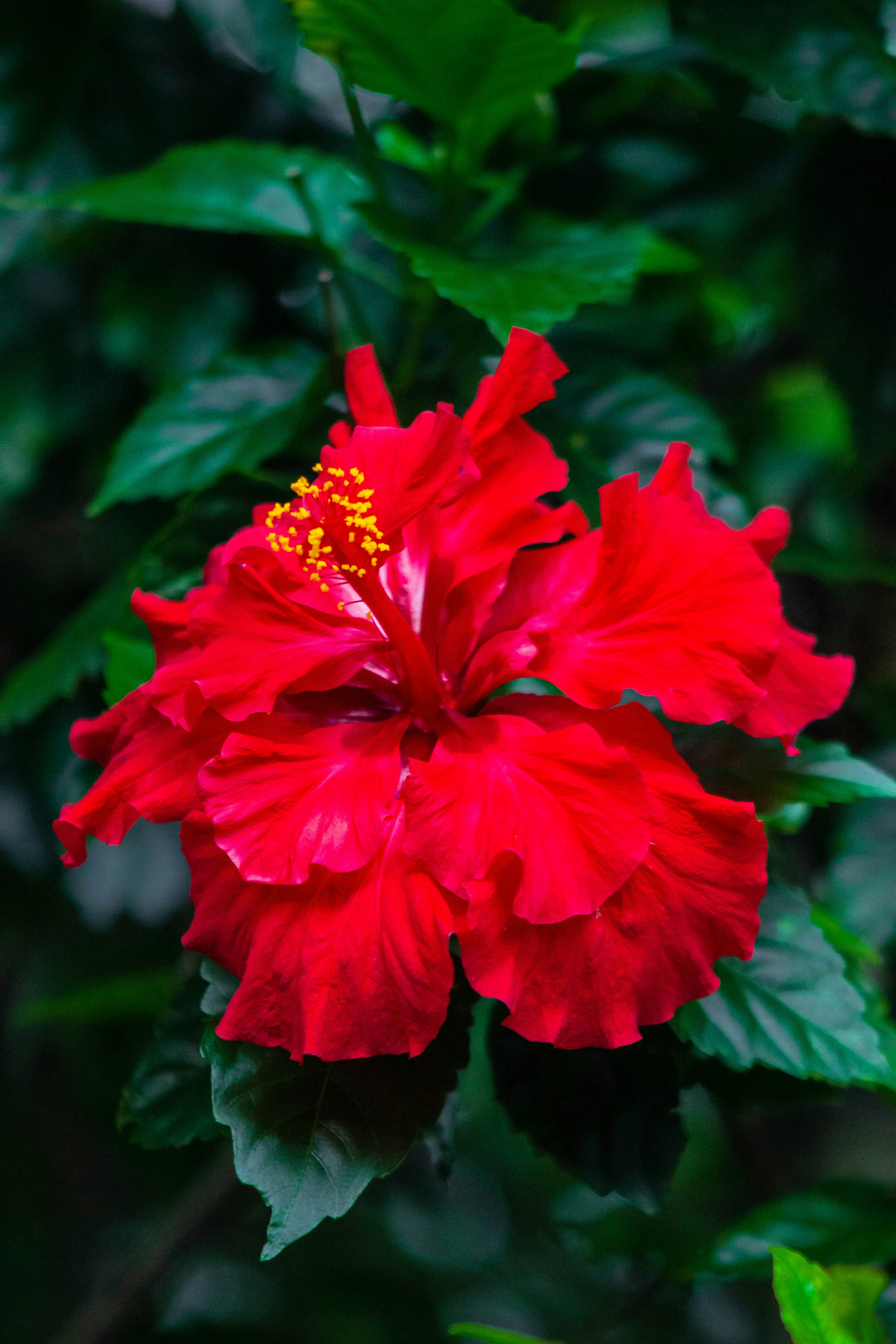 Photo by amywithacamera