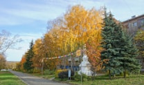 A scenic outdoor setting featuring a walkway with surrounding tall deciduous trees showing vibrant autumn colors, including yellow and orange foliage. Evergreen trees stand alongside, creating a rich contrast. Colorful flags are strung across near a white monument, adding a festive touch. Residential buildings are visible in the background under a clear blue sky.