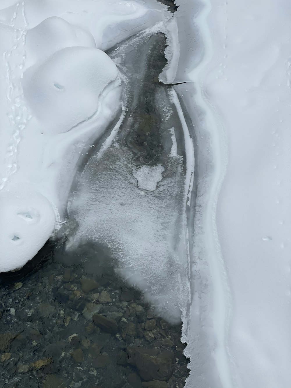 a stream running through a snow covered forest