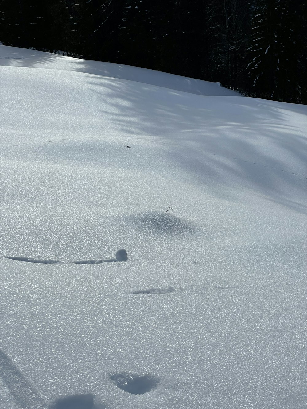 a person riding skis down a snow covered slope