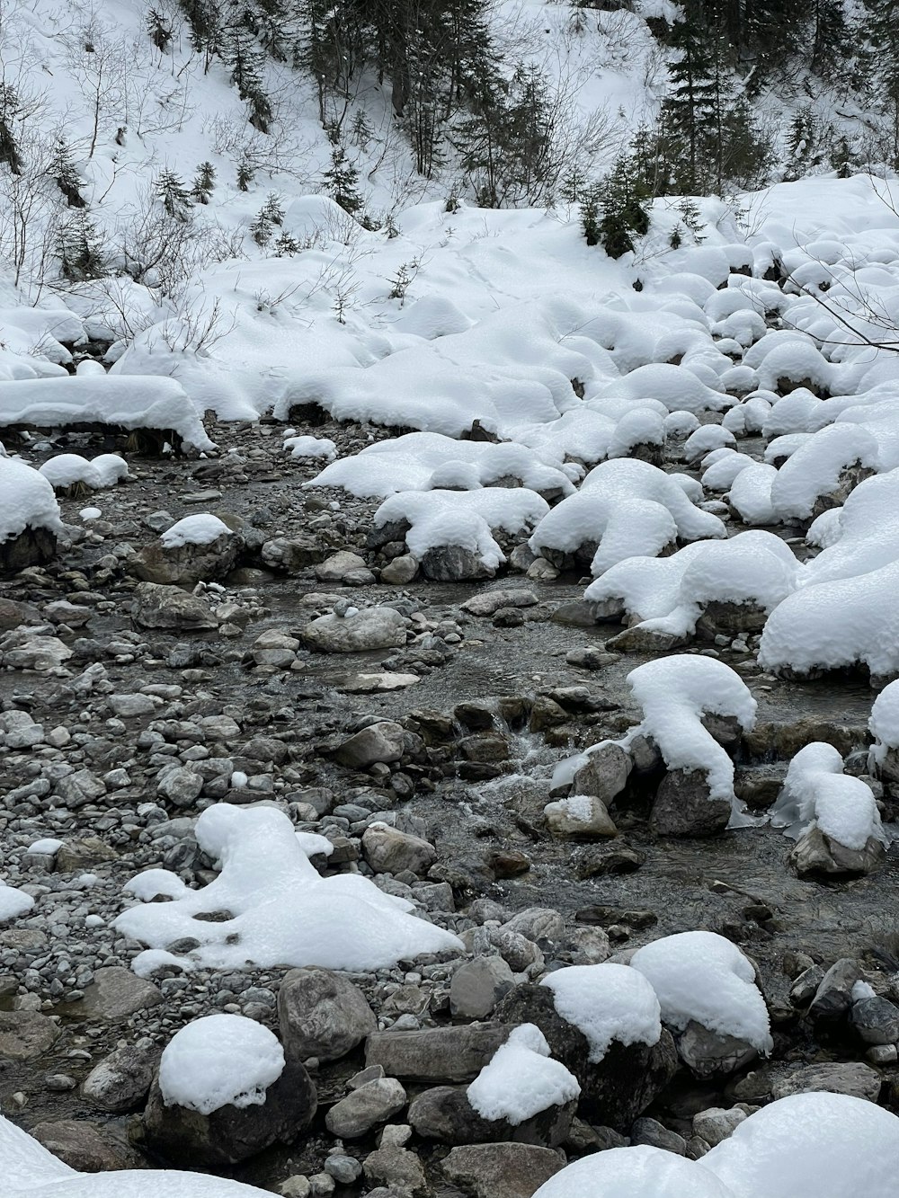 a stream running through a snow covered forest