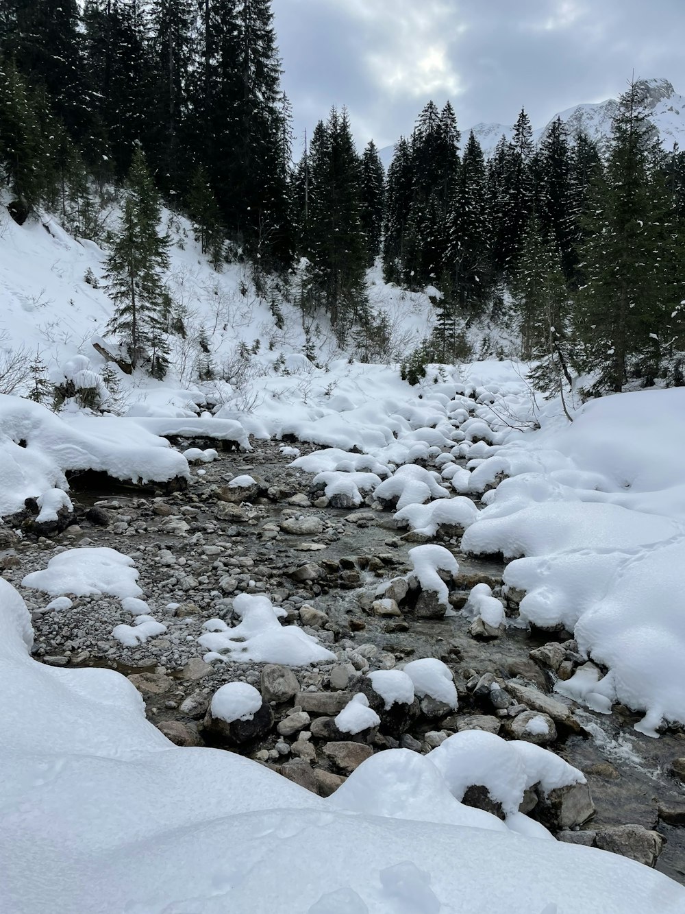 um riacho que atravessa uma floresta coberta de neve