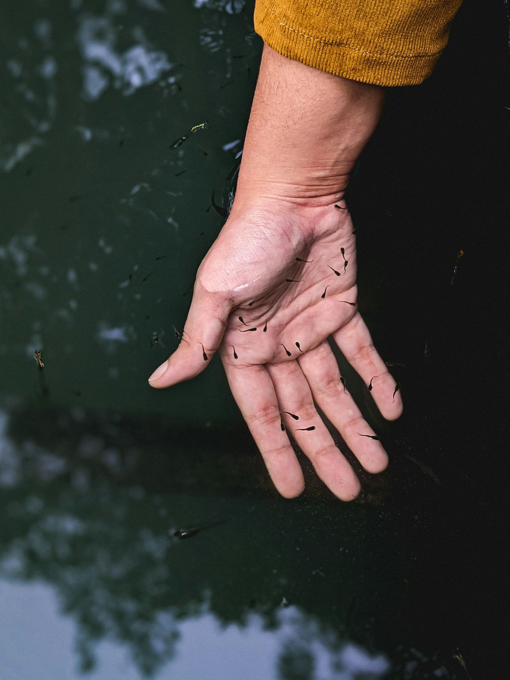 a person holding their hand out in the water