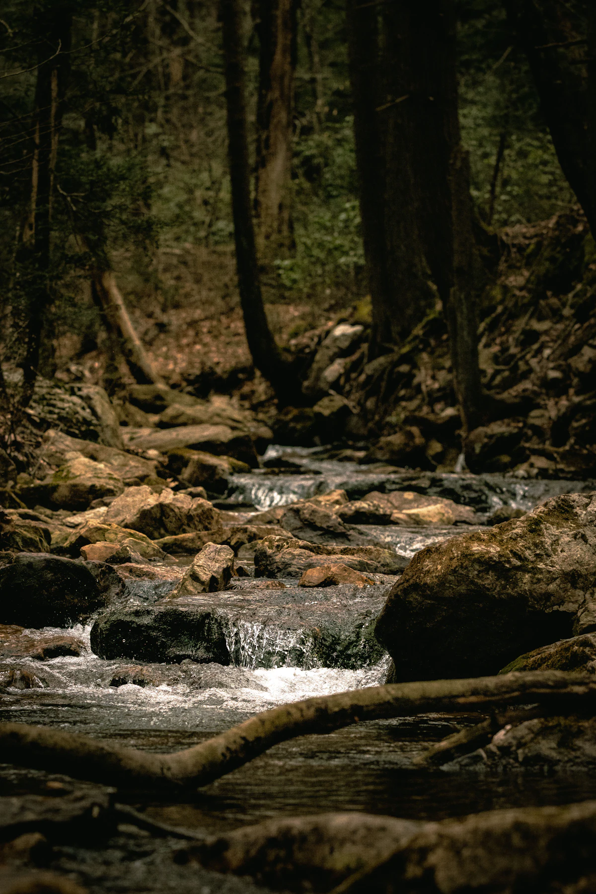 A rocky stream tumbling through a dark Pennsylvania forest
