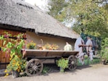 A rustic wooden cart filled with freshly cut flowers from Tenancingo.