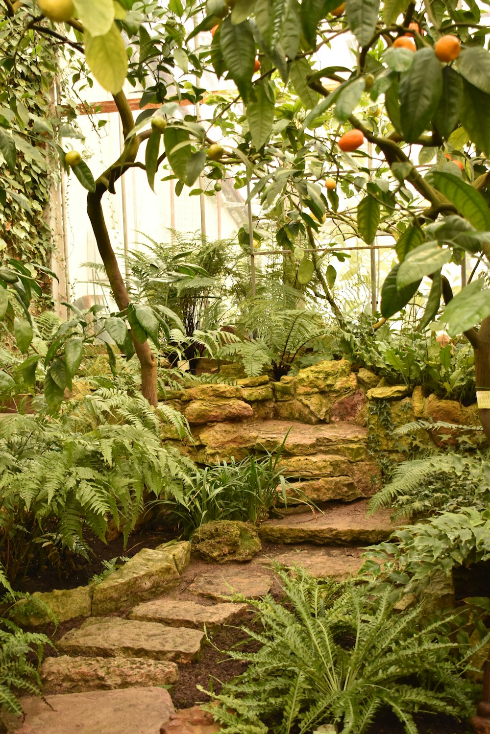 Un camino de piedra rodeado de plantas y árboles