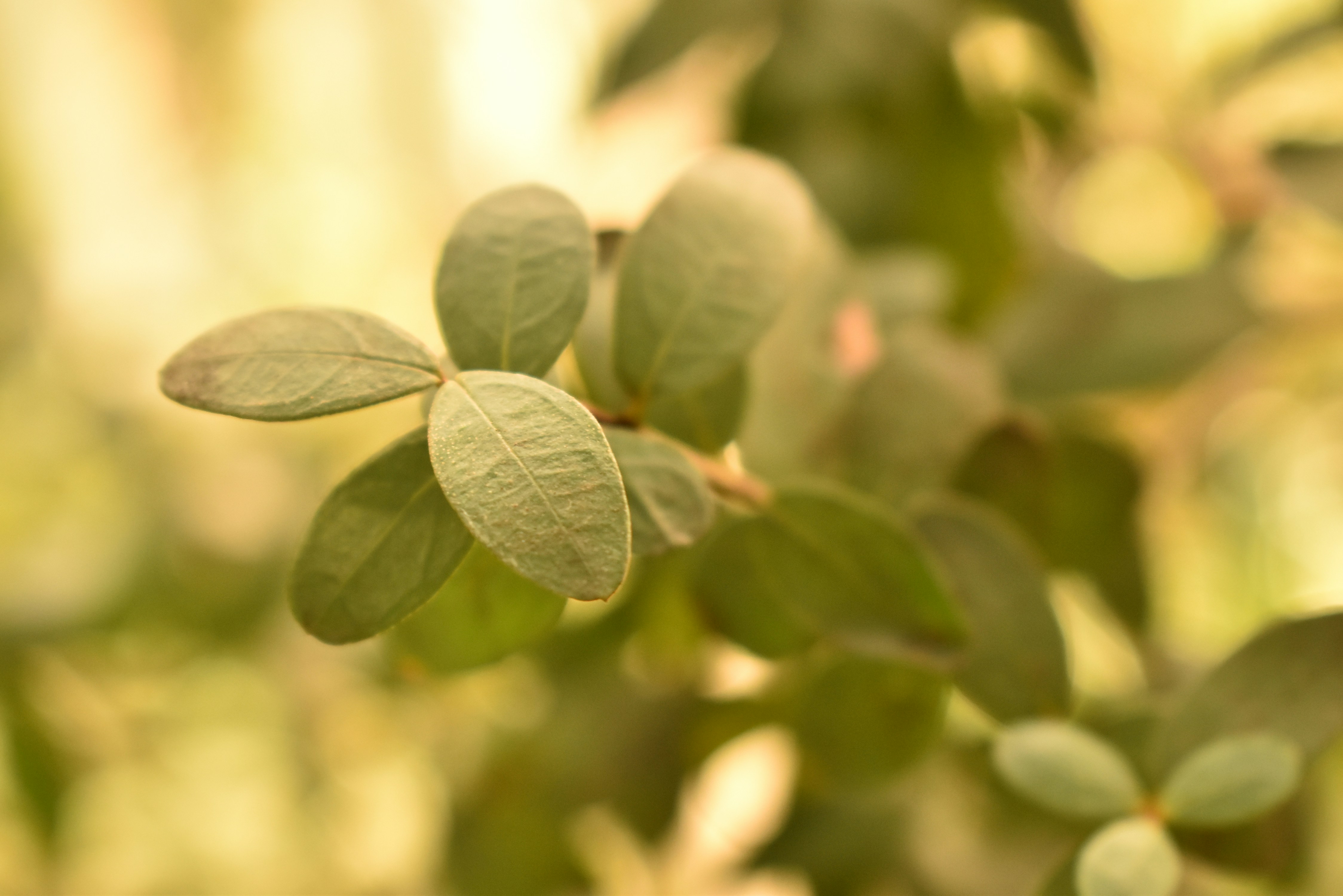 Photo by stado_bobrov