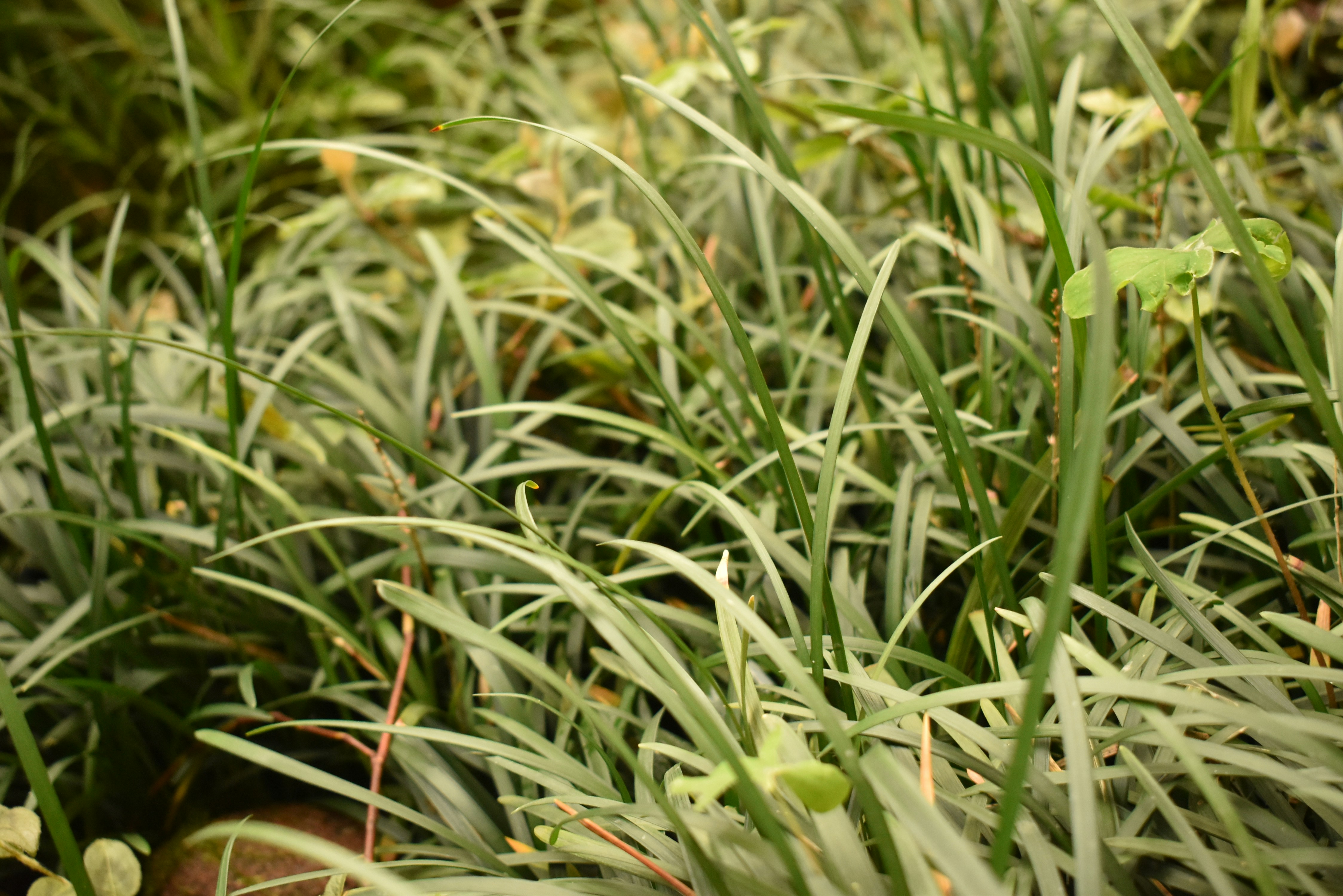 Photo by stado_bobrov