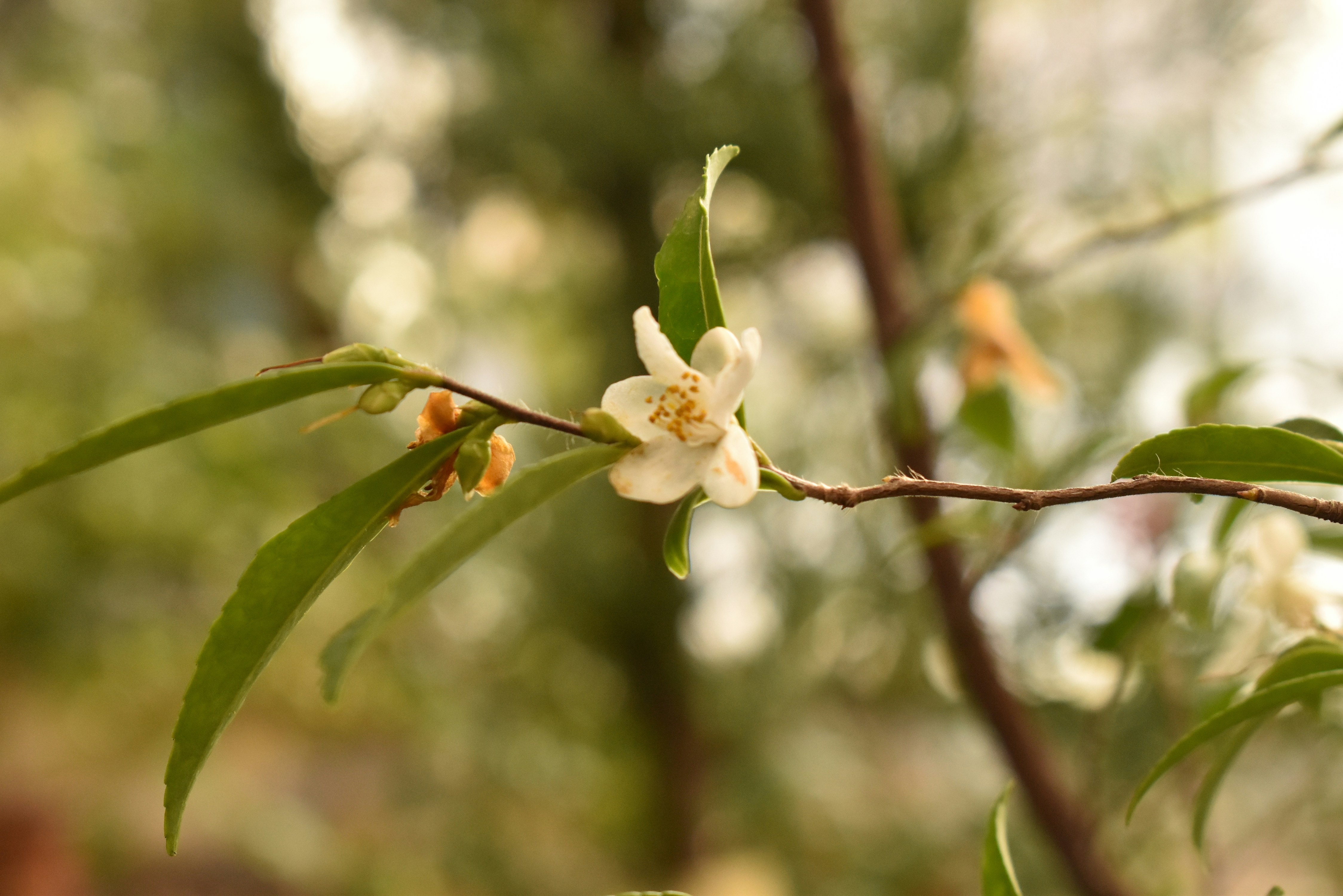 Photo by stado_bobrov