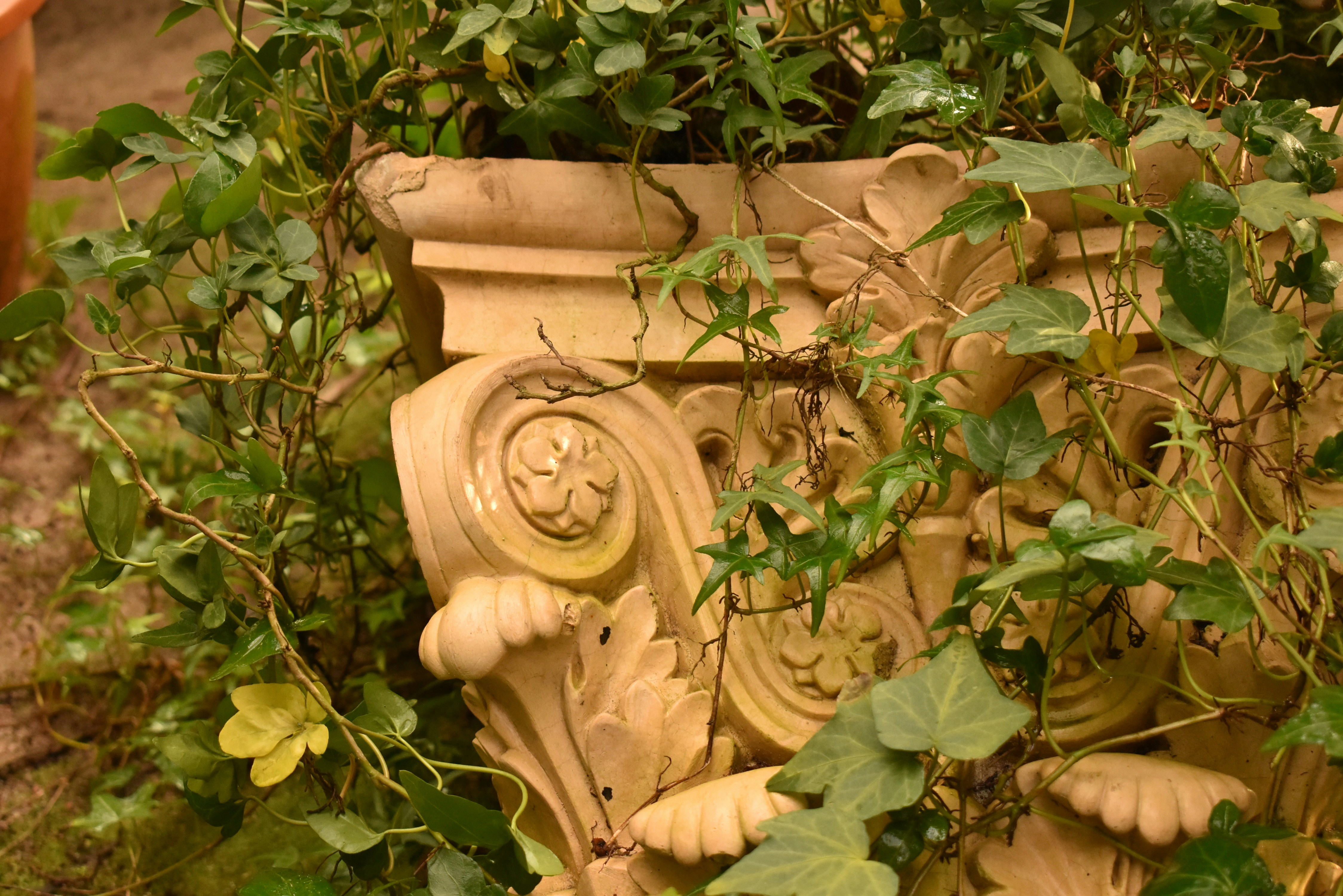 Photo by stado_bobrov