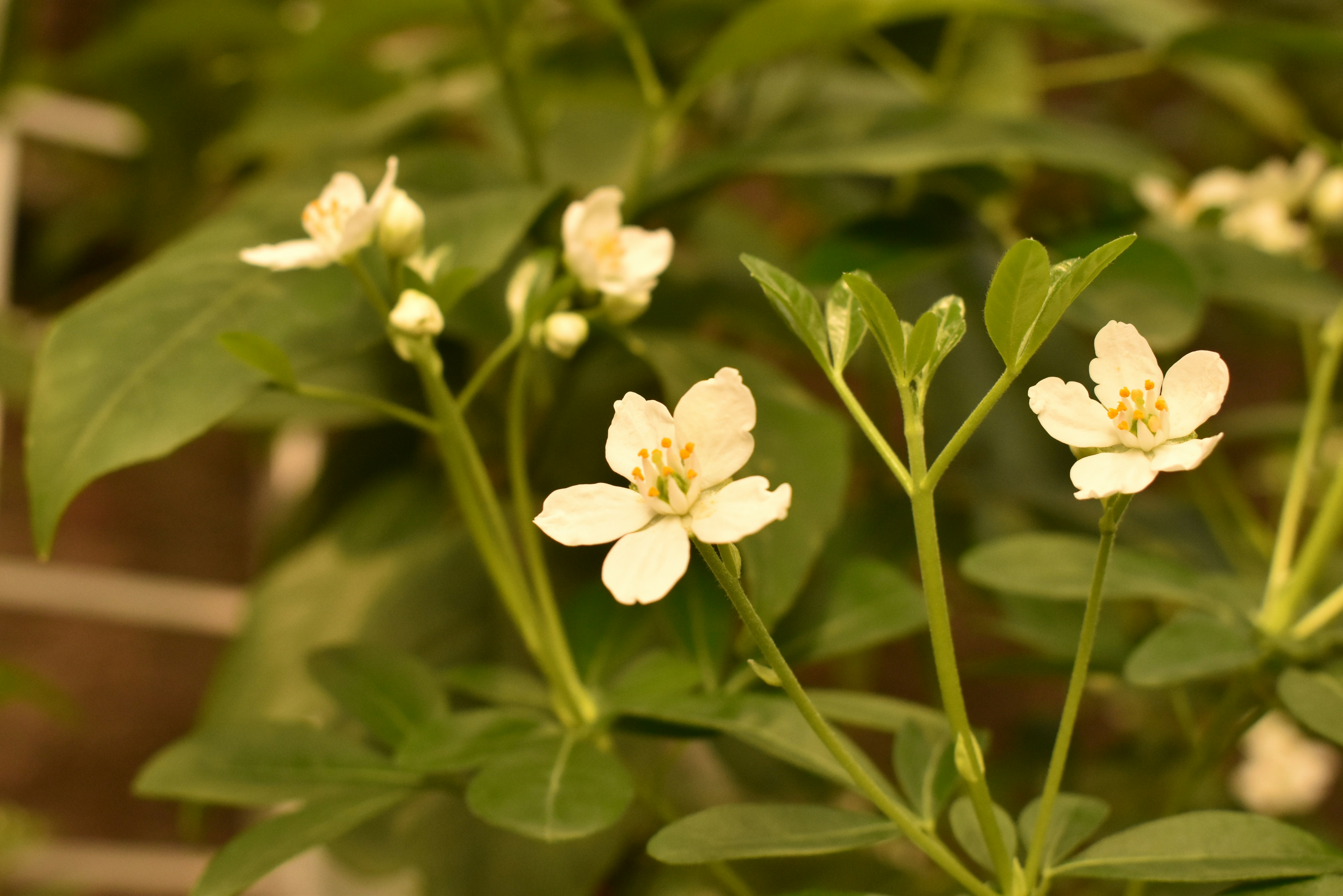 Photo by stado_bobrov