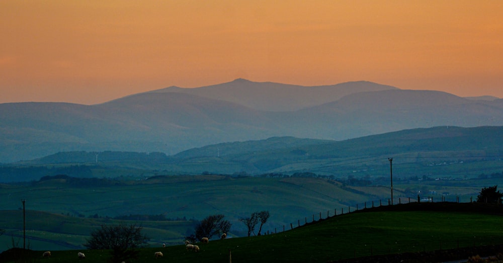 a sunset view of a mountain range with sheep grazing in the foreground