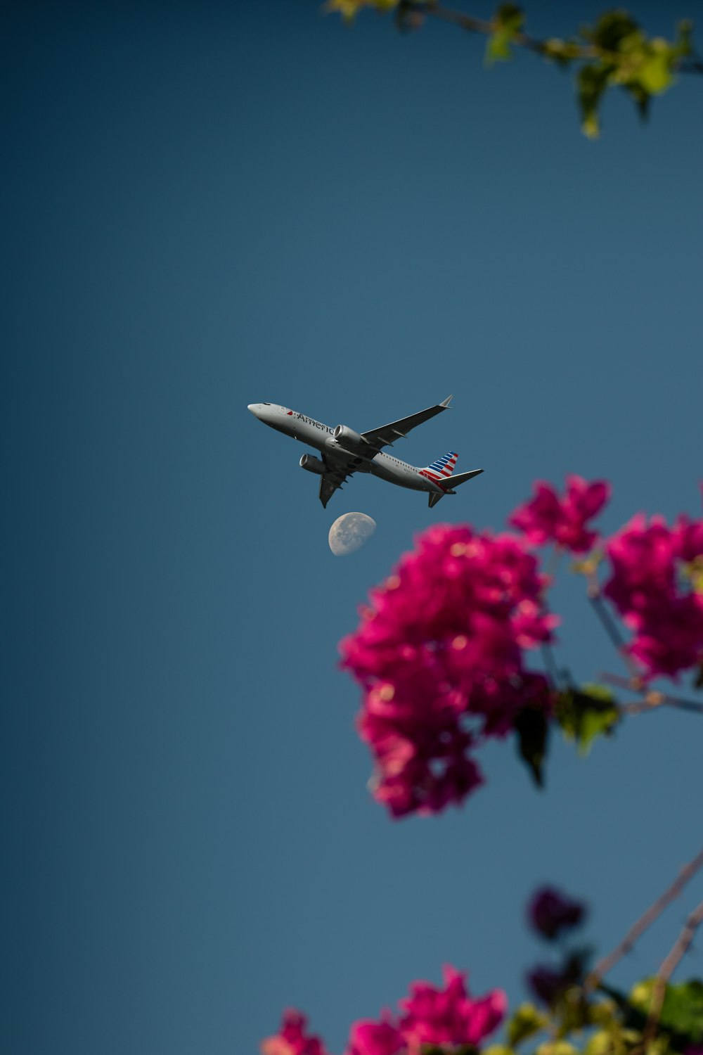 Un aeroplano che vola nel cielo con fiori rosa in primo piano