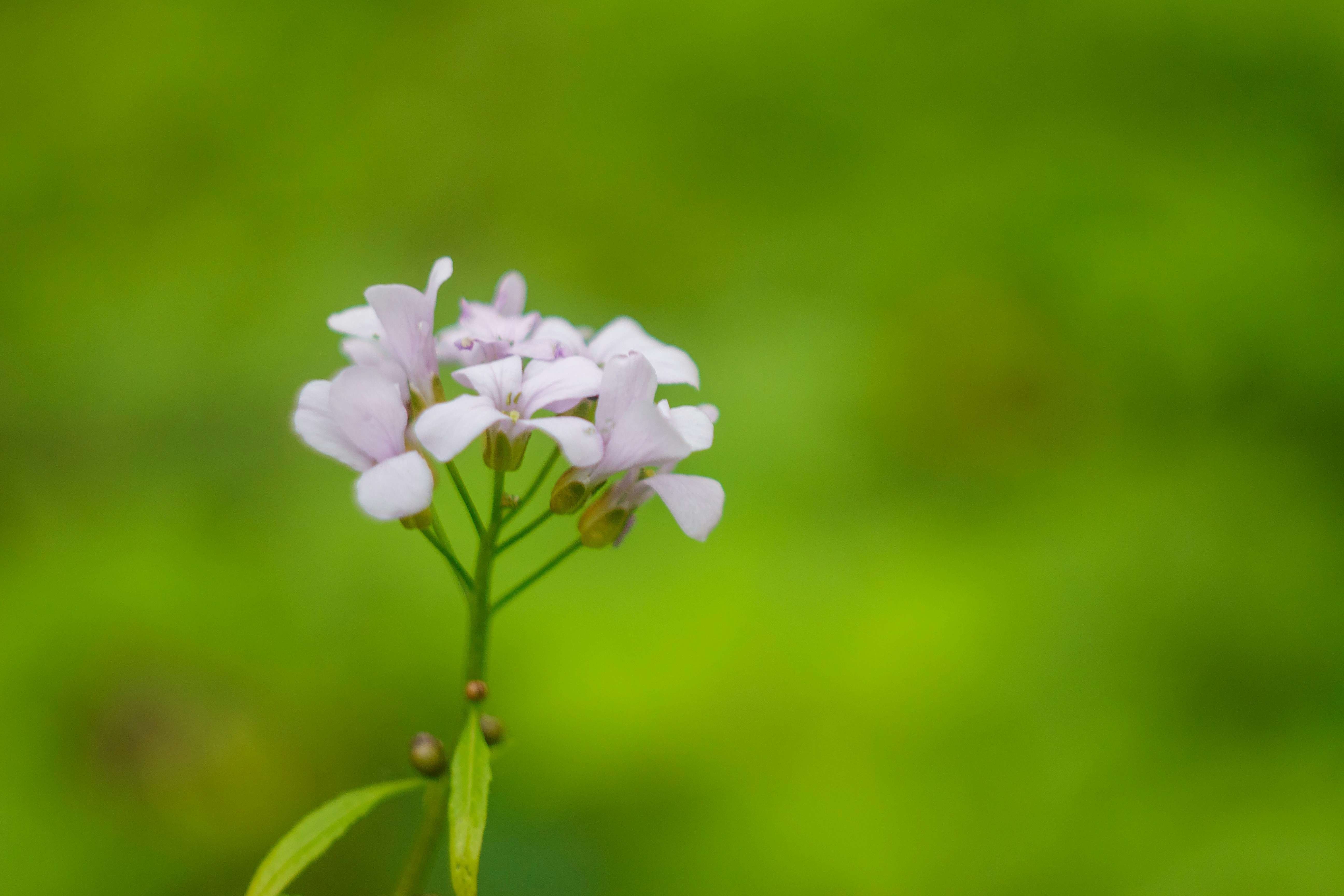 Photo by viktorsmoliak