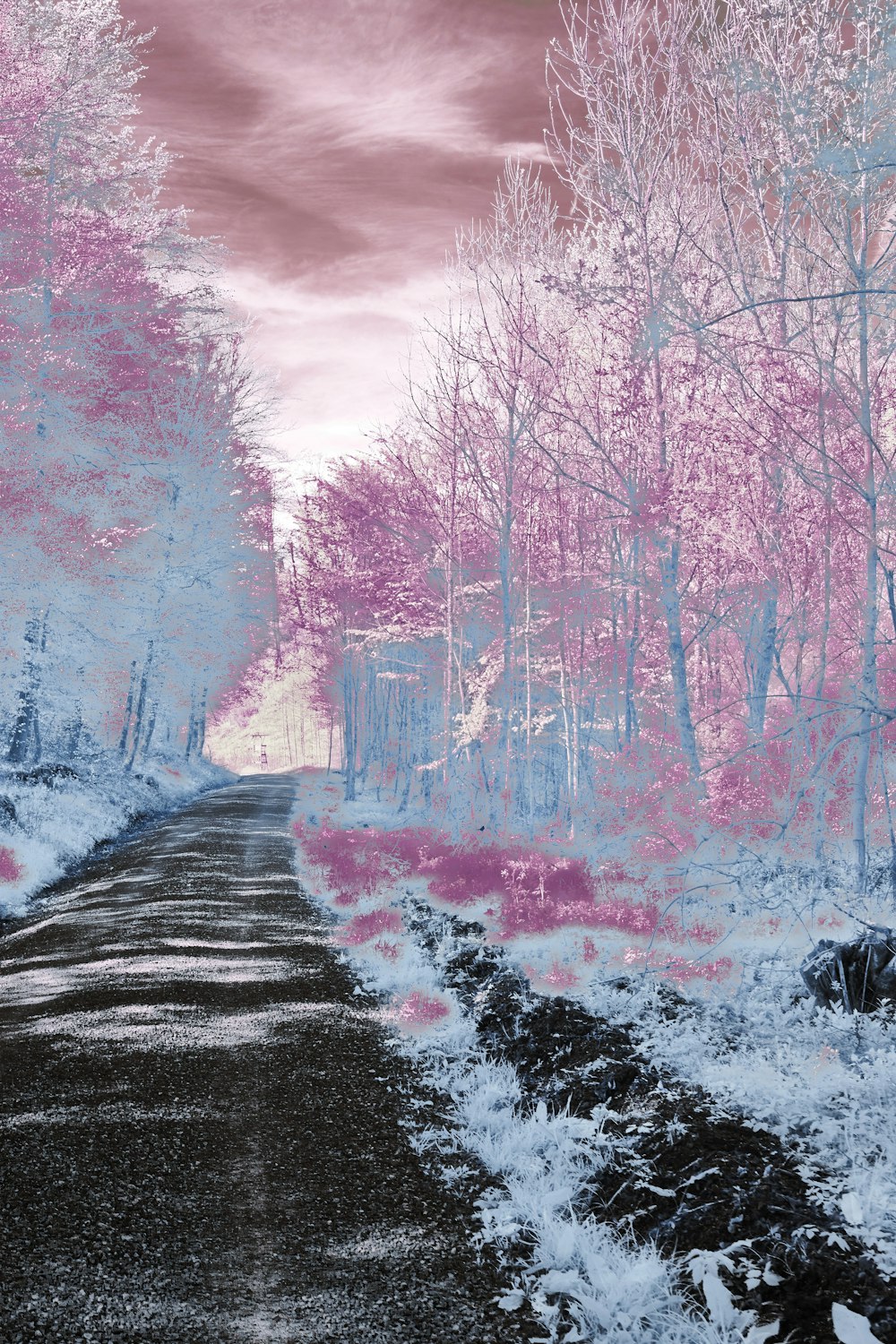 a digital painting of a road surrounded by trees