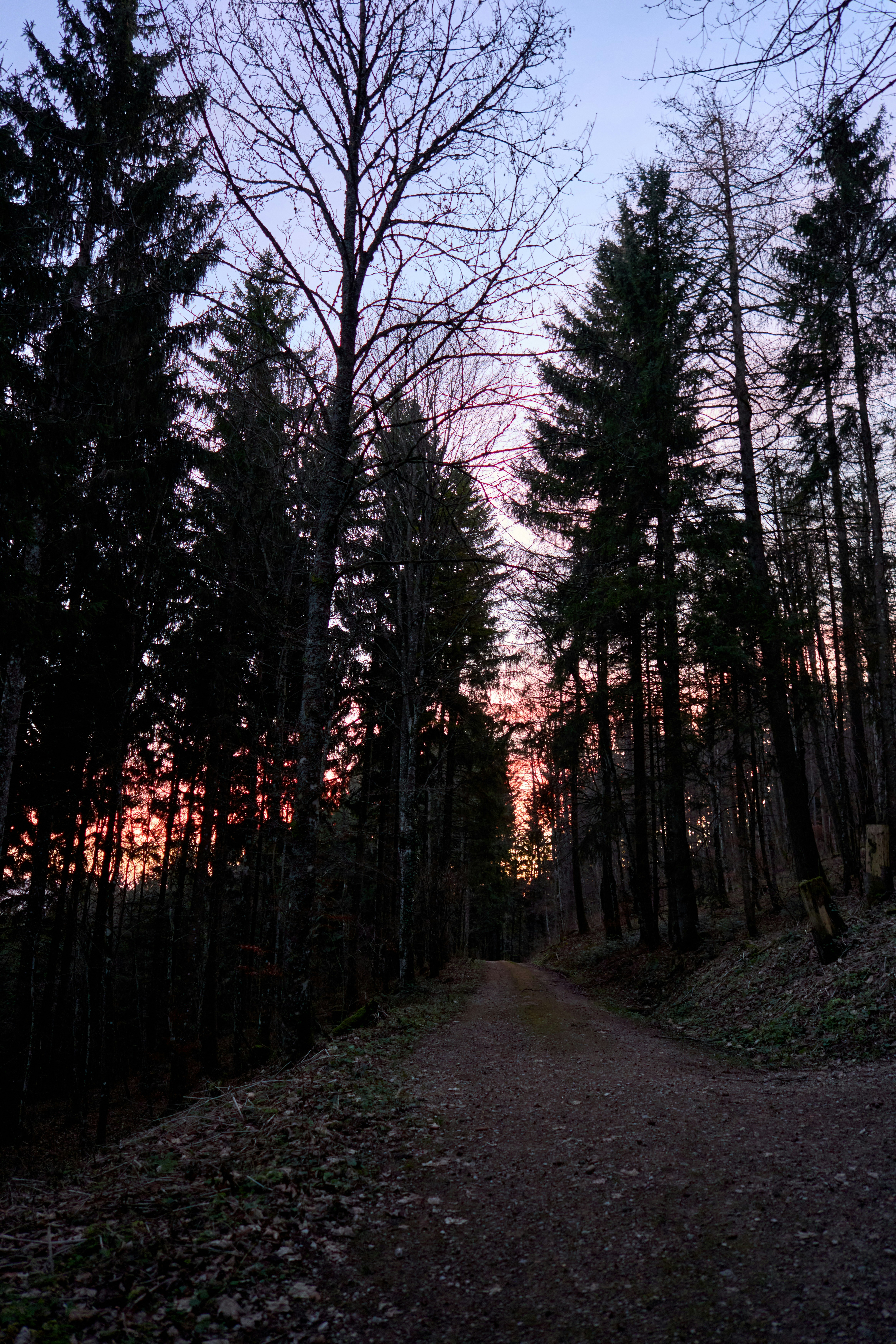 Photo by wolfgang_hasselmann