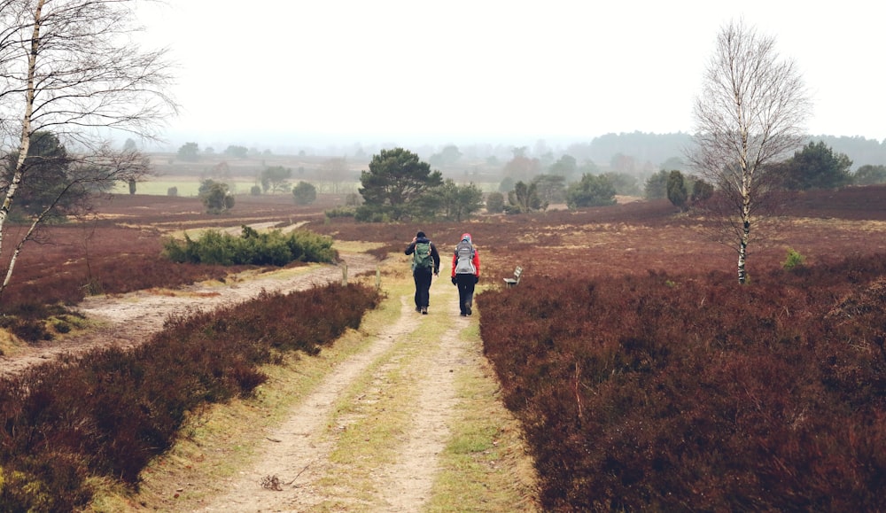 a couple of people walking down a dirt road