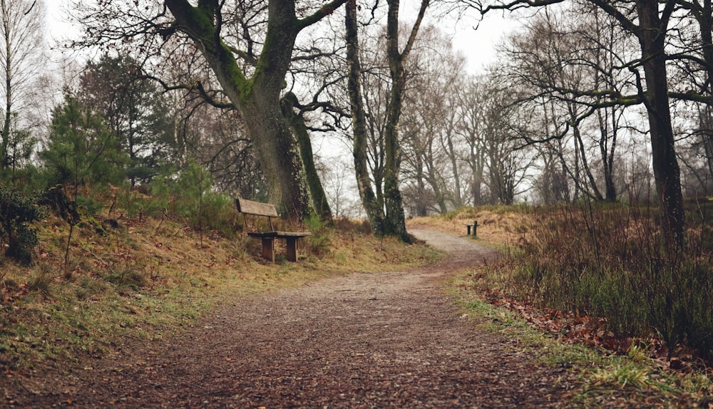 a dirt road with a bench on the side of it