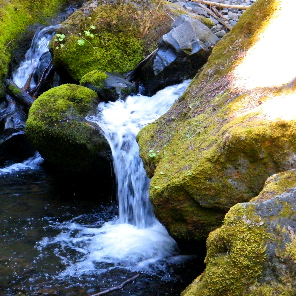a stream of water running between mossy rocks