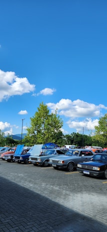 A row of well-maintained used cars lined up in an outdoor lot under clear skies.