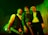 Three individuals stand in a room with green ambient lighting, each holding a musical instrument. The person on the left is holding an electric guitar and wearing a vest over a white shirt. The person in the middle is wearing a leopard print long-sleeve top and holding a guitar, while the person on the right is wearing an open jacket and a hat.