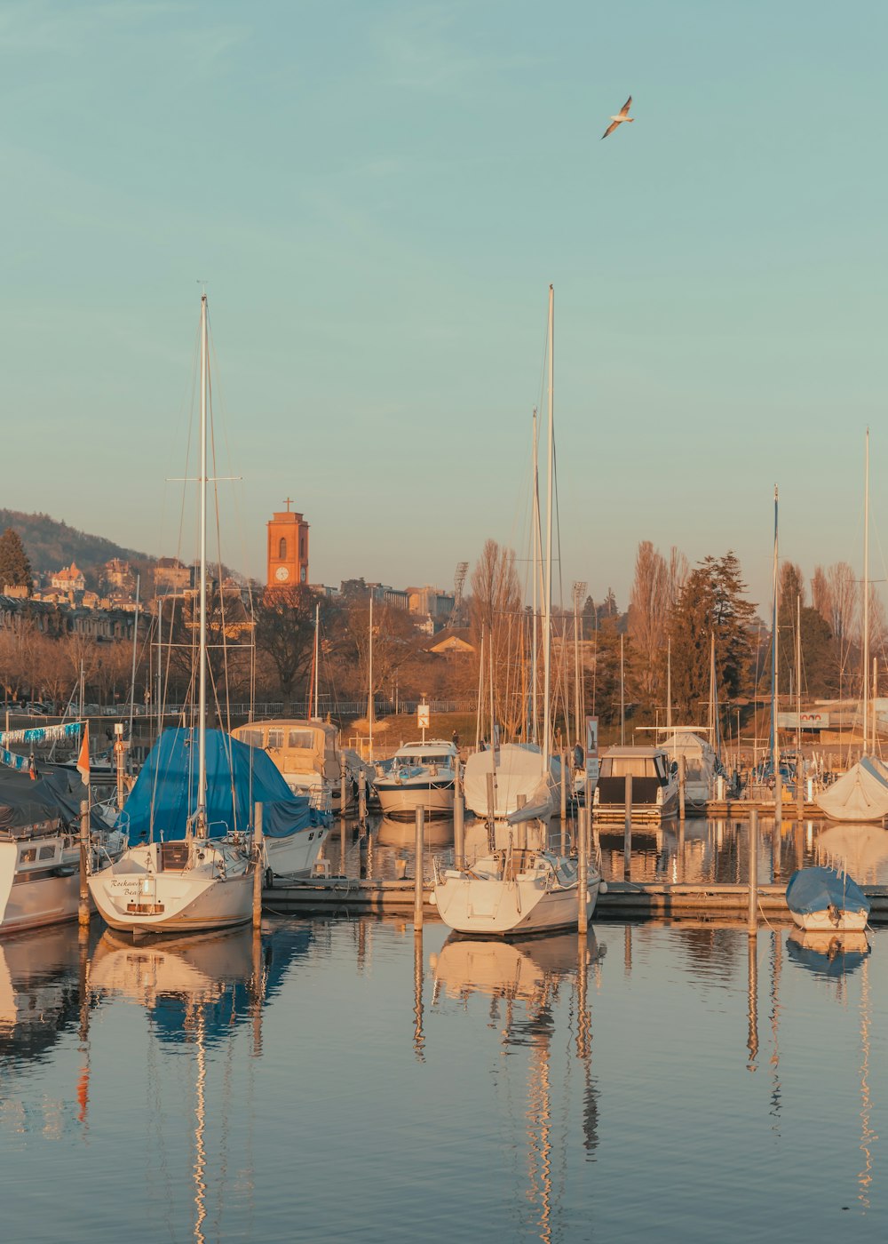 a harbor filled with lots of white boats