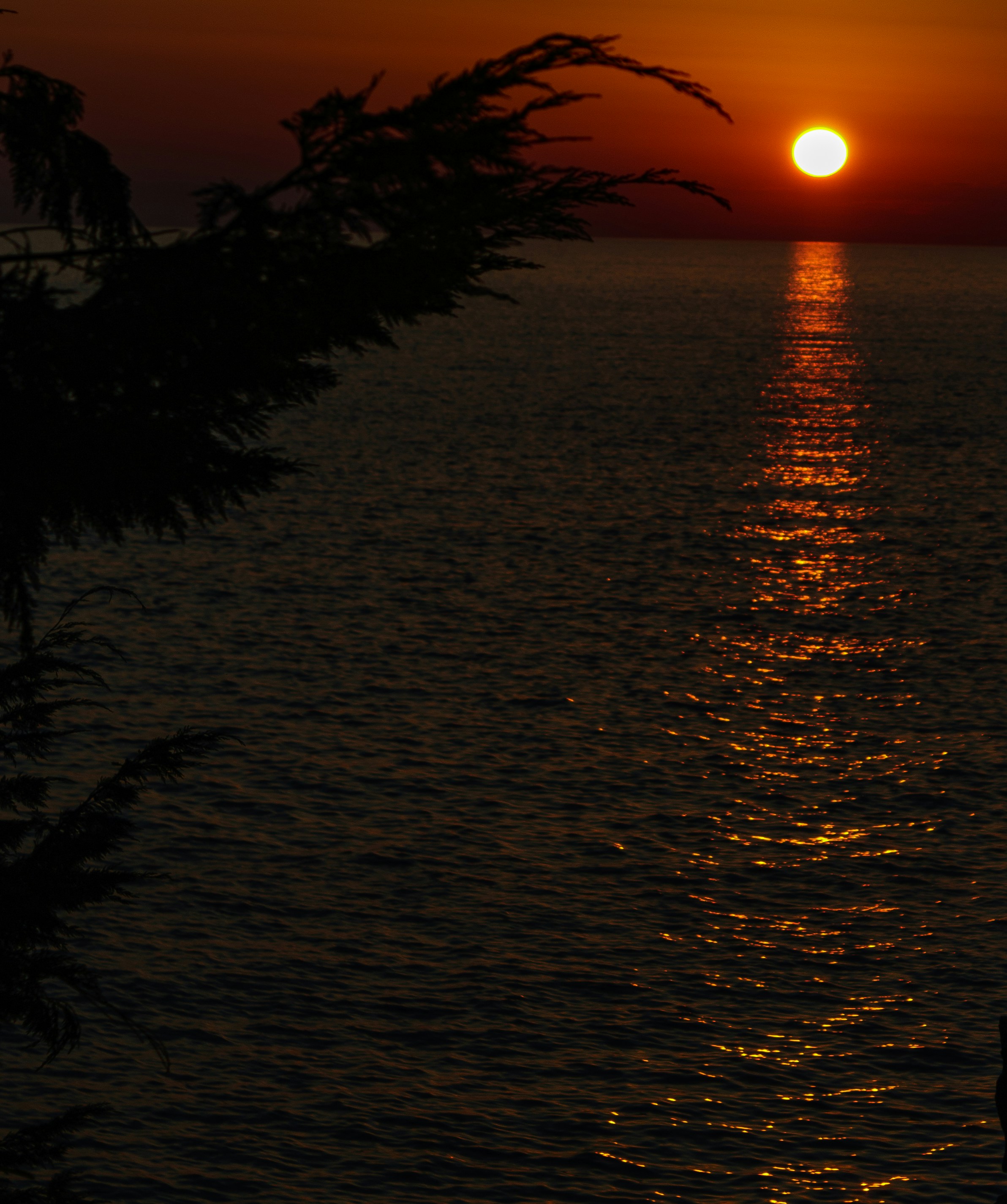 Photo by sporisevicphotography